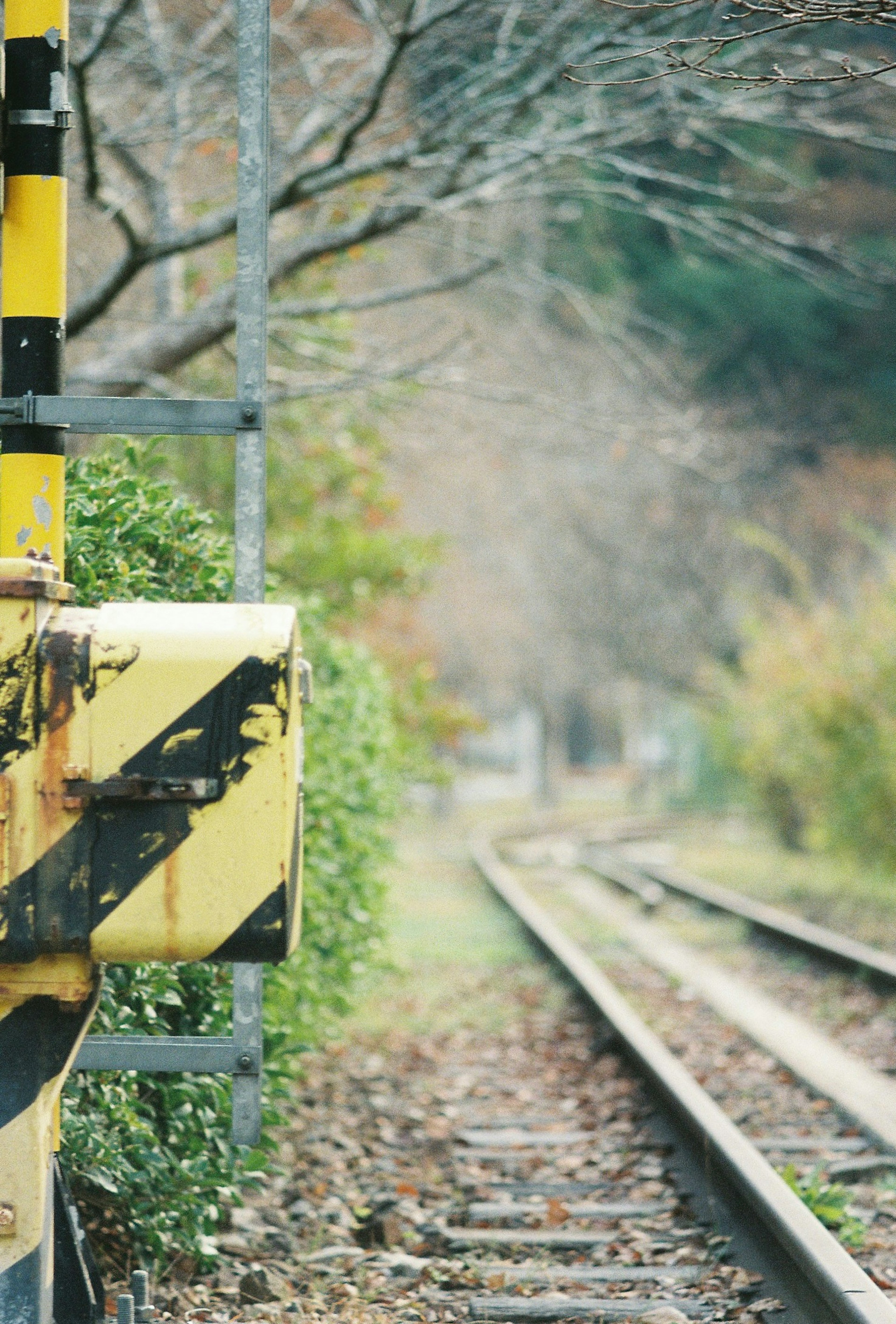 Eisenbahnsignal und Gleis mit Grünpflanzen und Herbstbäumen