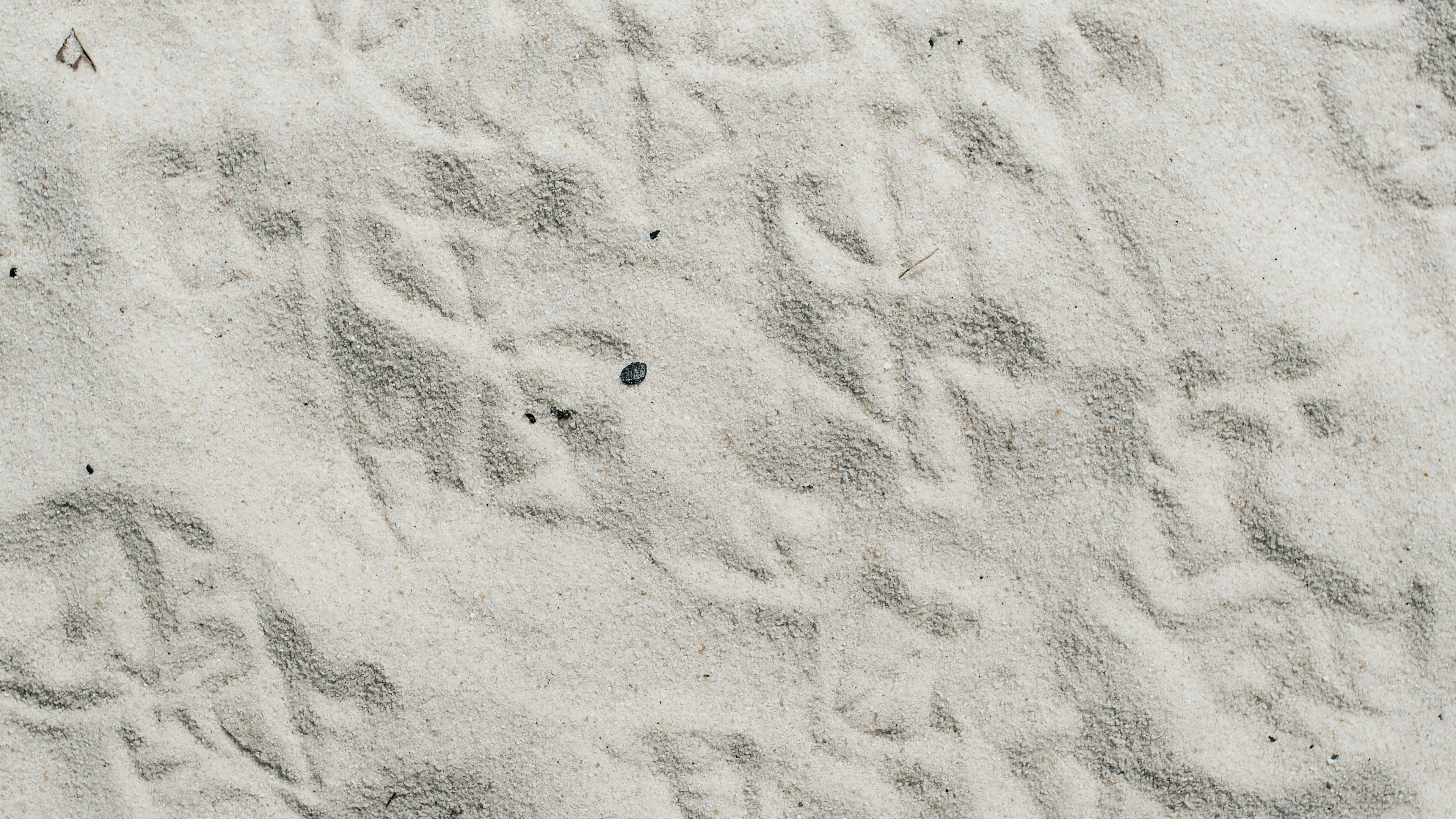 Huellas y patrones en una playa de arena blanca