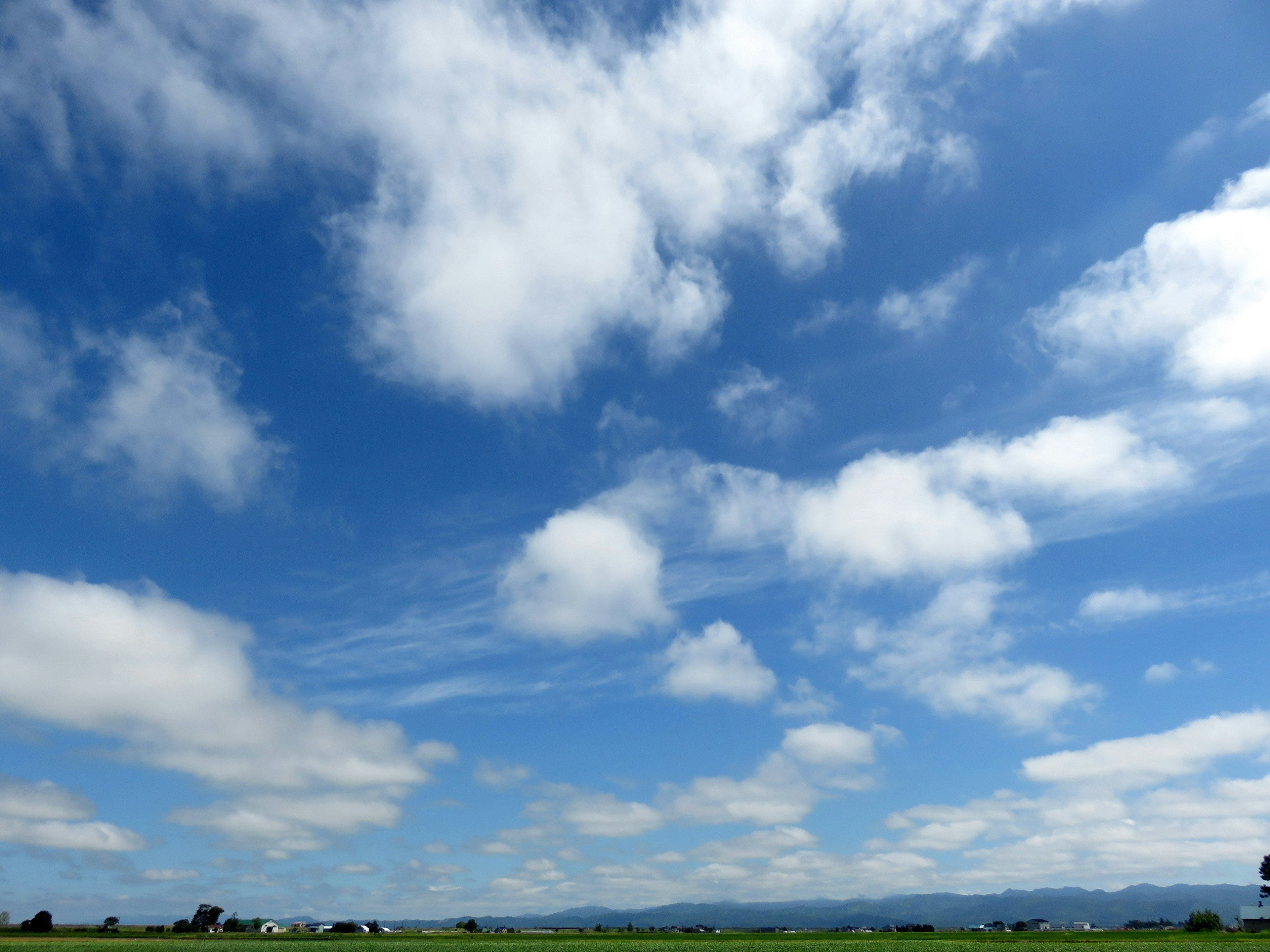 青空に白い雲が広がる風景