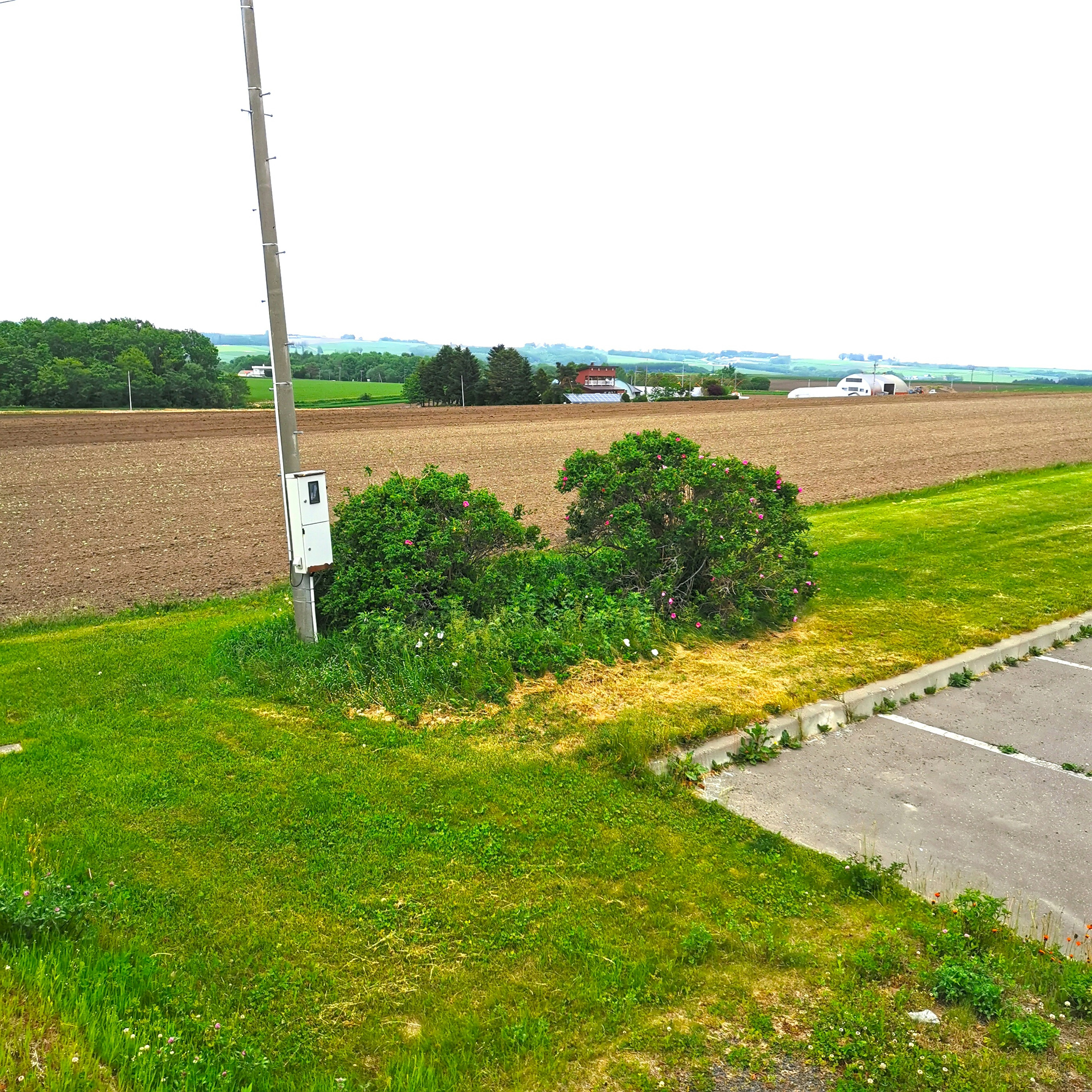 Eine Szene mit einem Strommast umgeben von grünem Gras und niedrigen Büschen mit Ackerland und einem Parkplatz im Hintergrund