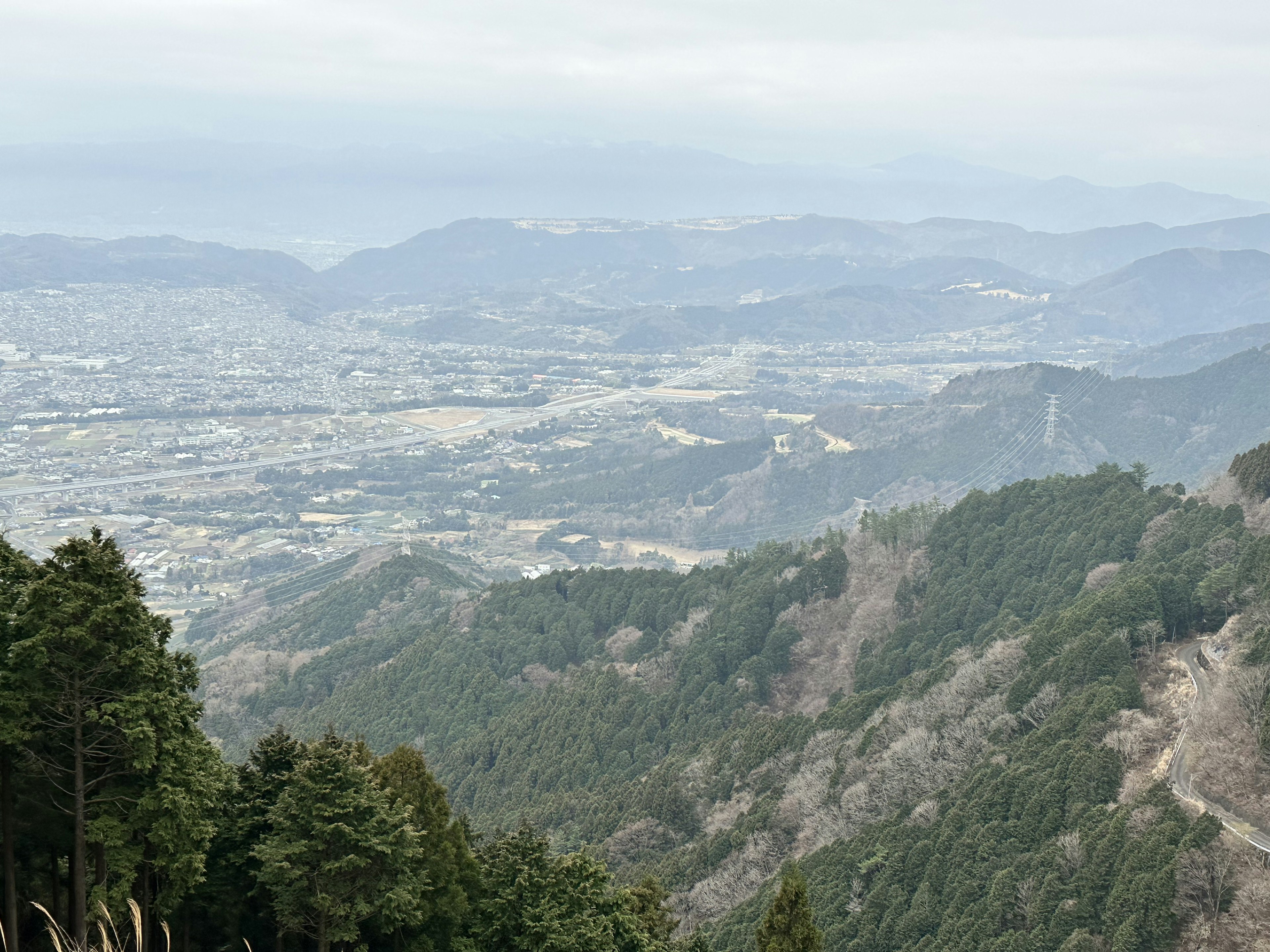 山の上からの景色で、緑の木々と遠くに広がる都市の景観が見える