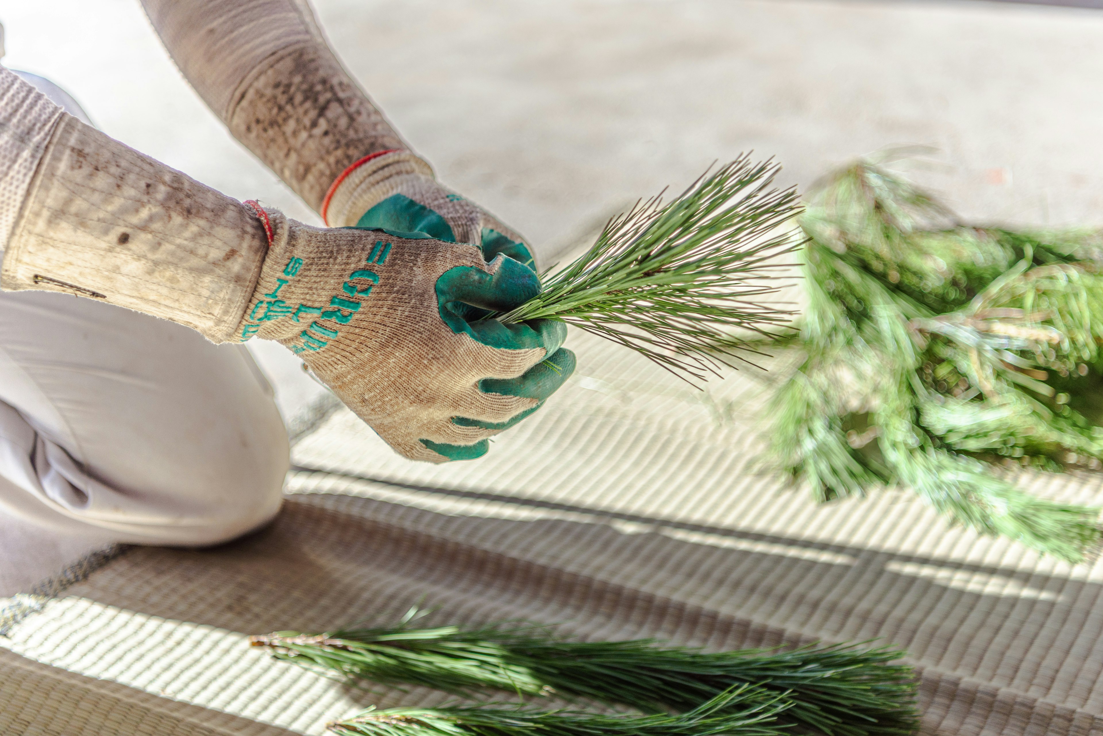 手袋をした手が緑の植物を束ねている様子