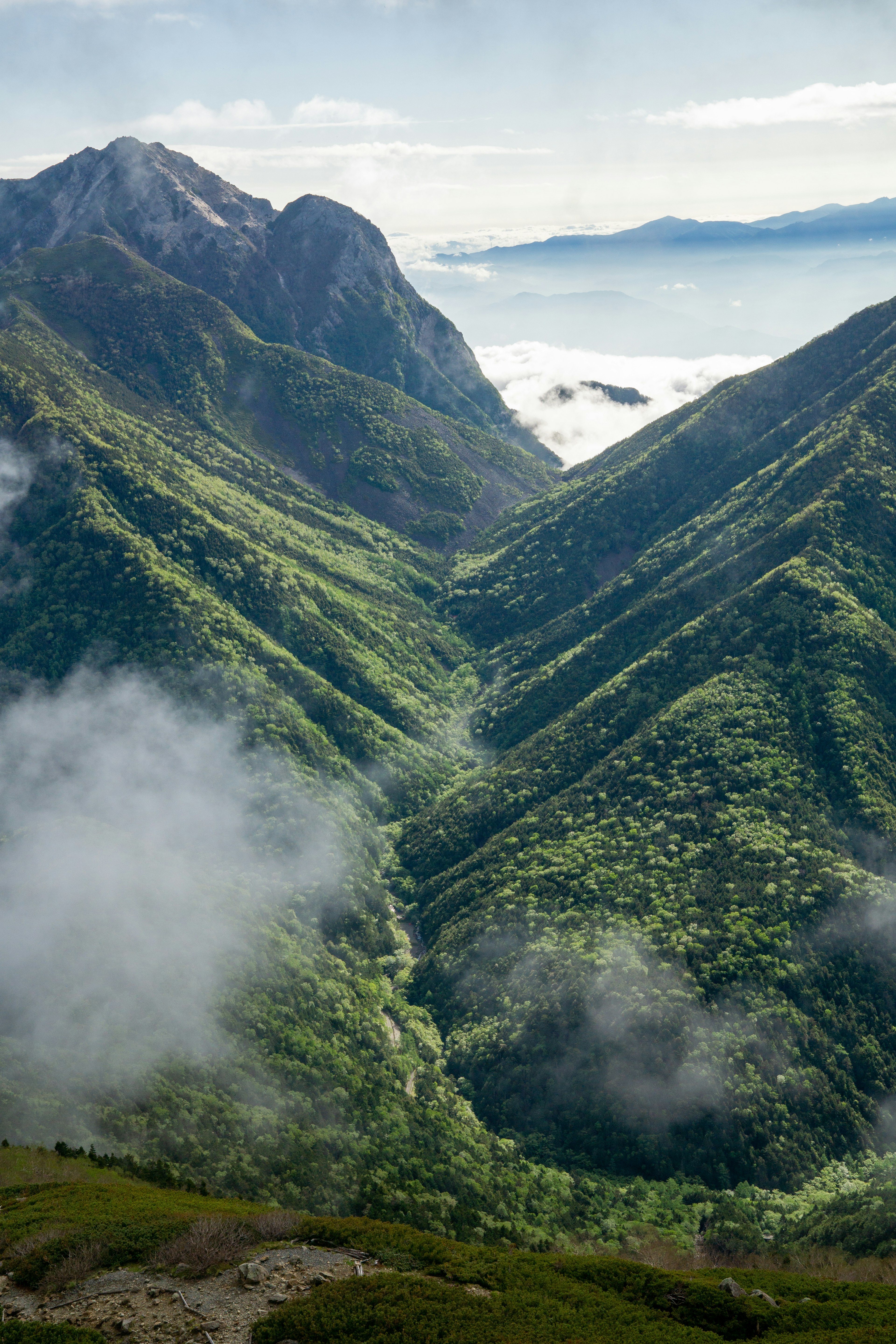 Montagnes verdoyantes avec une vallée embrumée