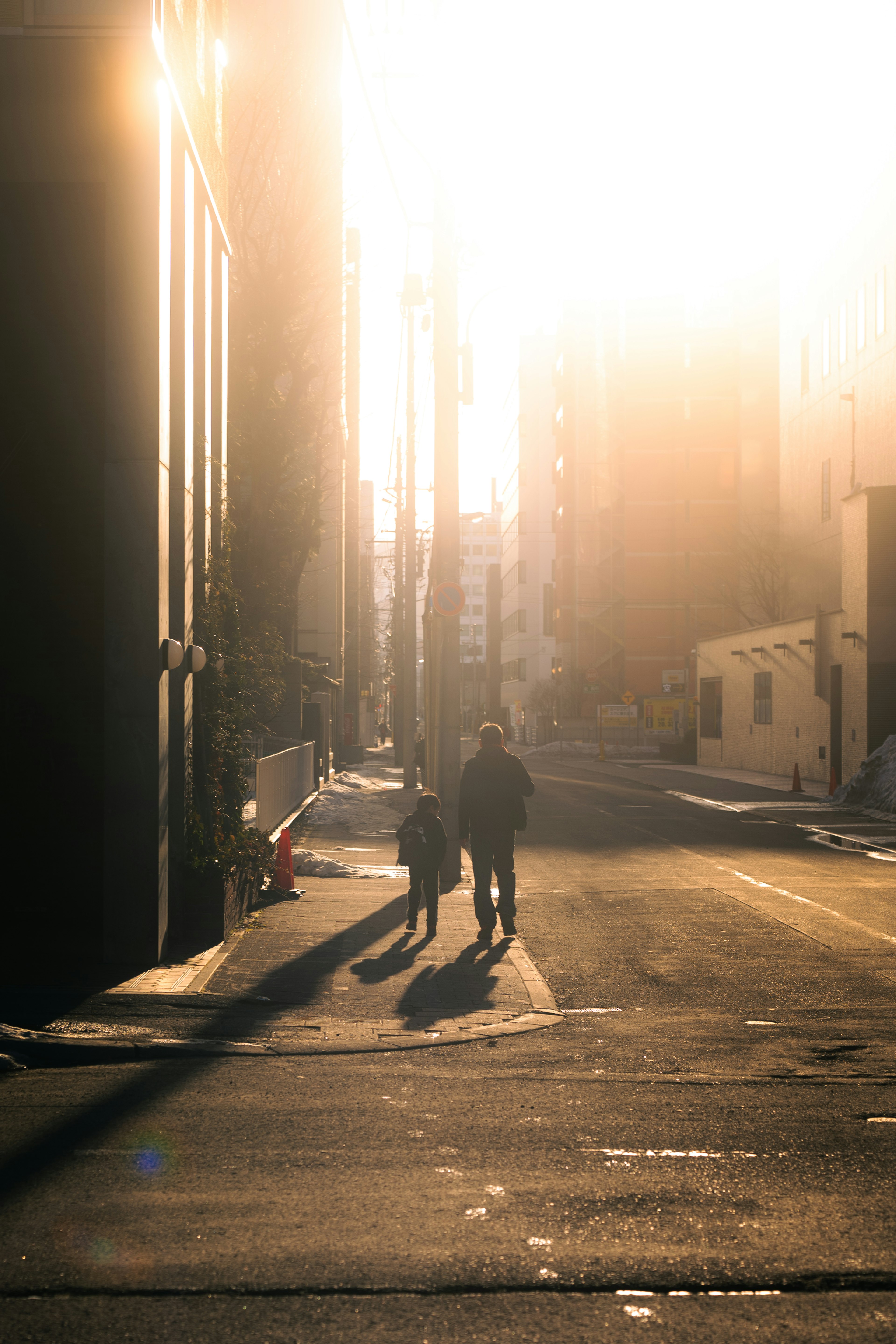 Silhouette of a parent and child walking on a street corner during sunset