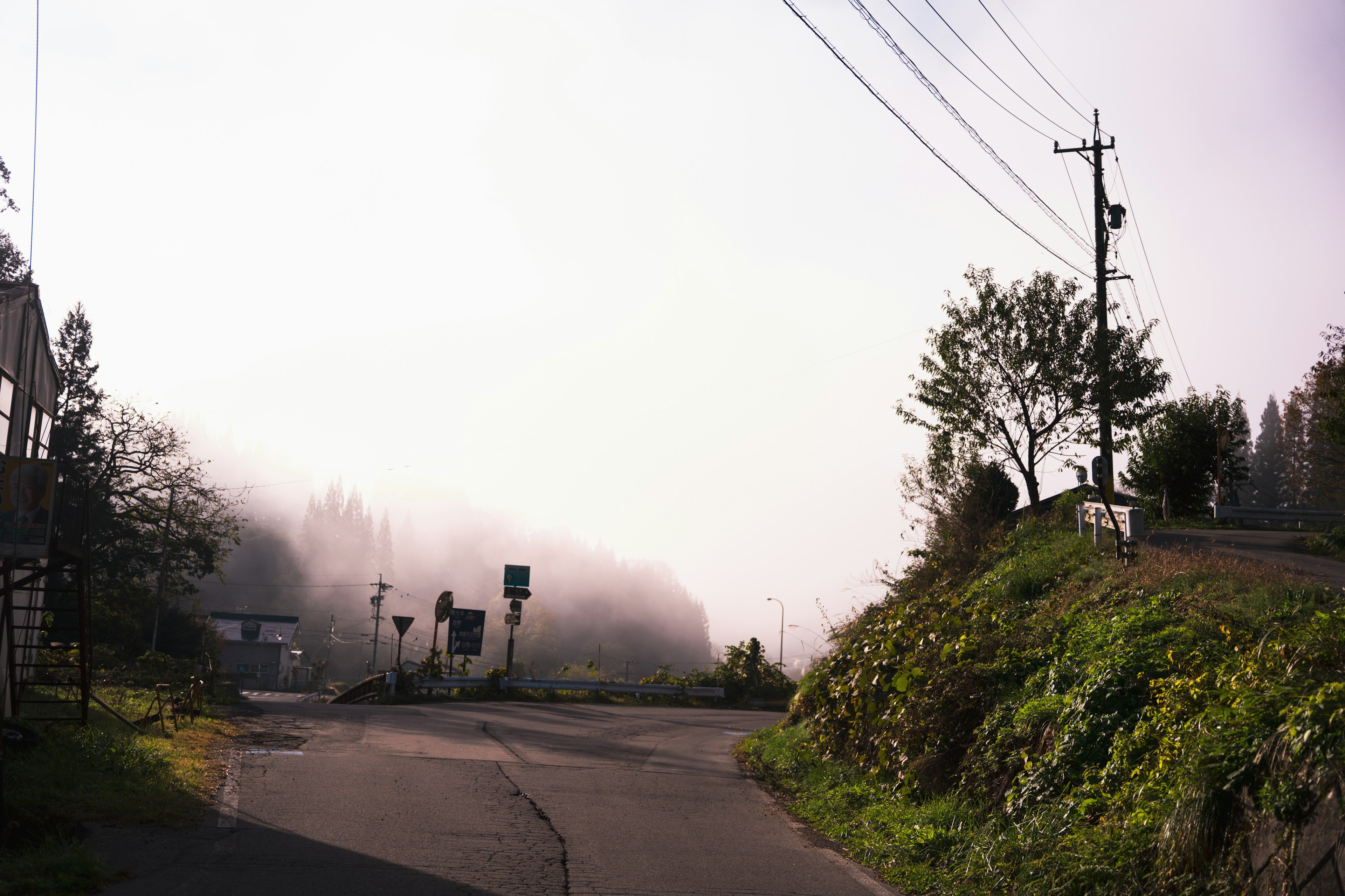 霧に包まれた田舎の道路の風景 電柱と標識が見える