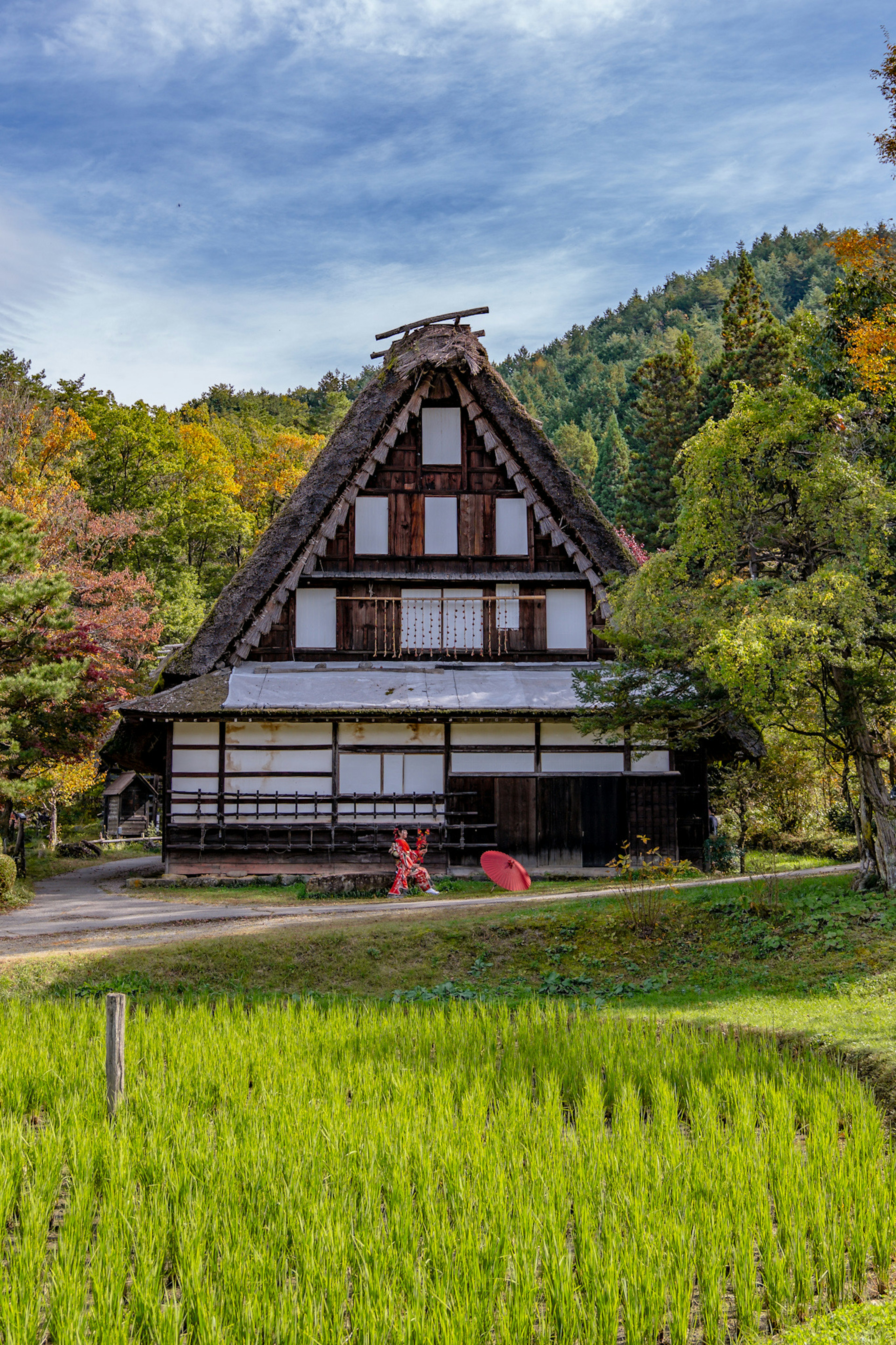 美しい日本の伝統的な合掌造りの家と緑の稲田