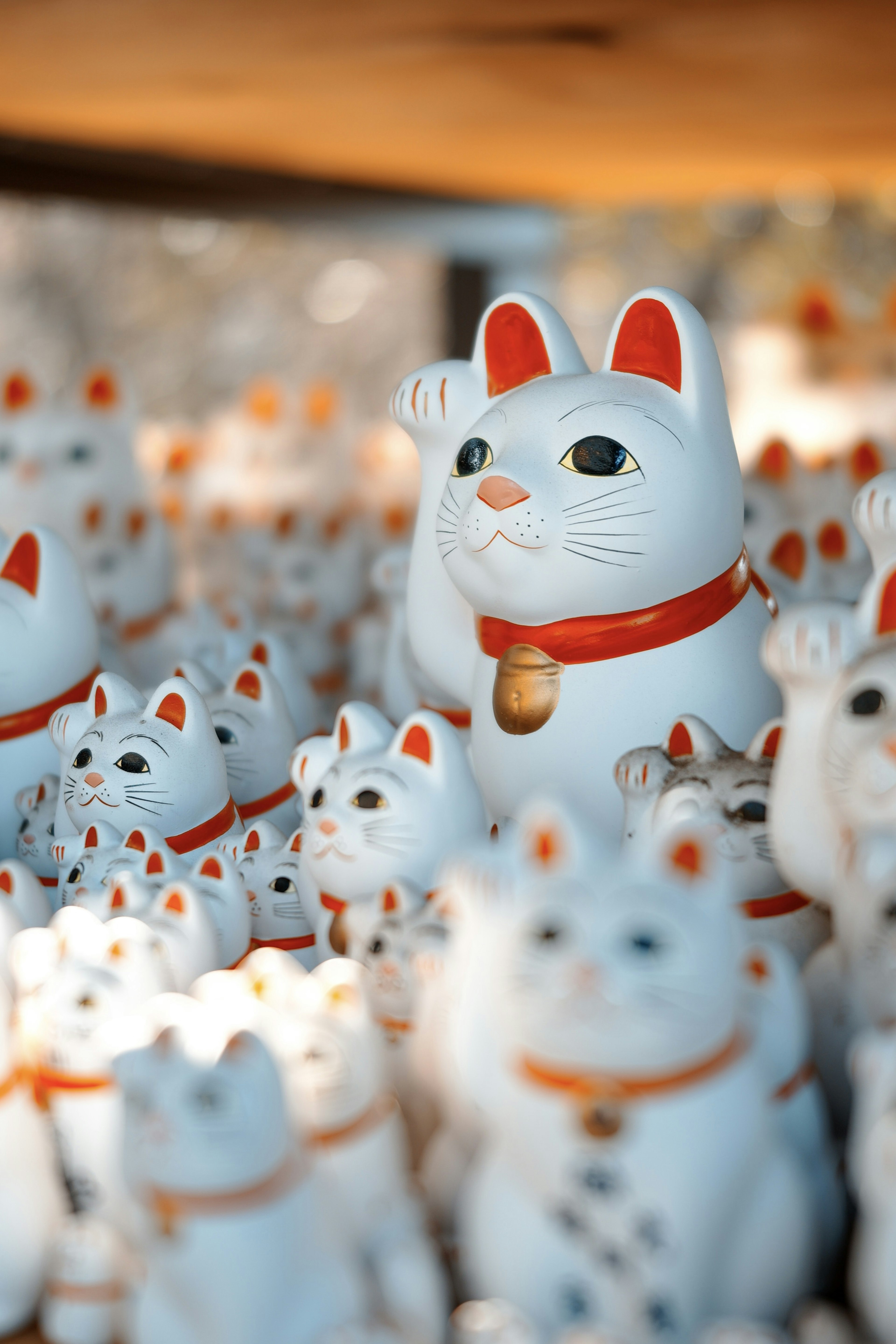 A prominent white lucky cat among many smaller white lucky cats