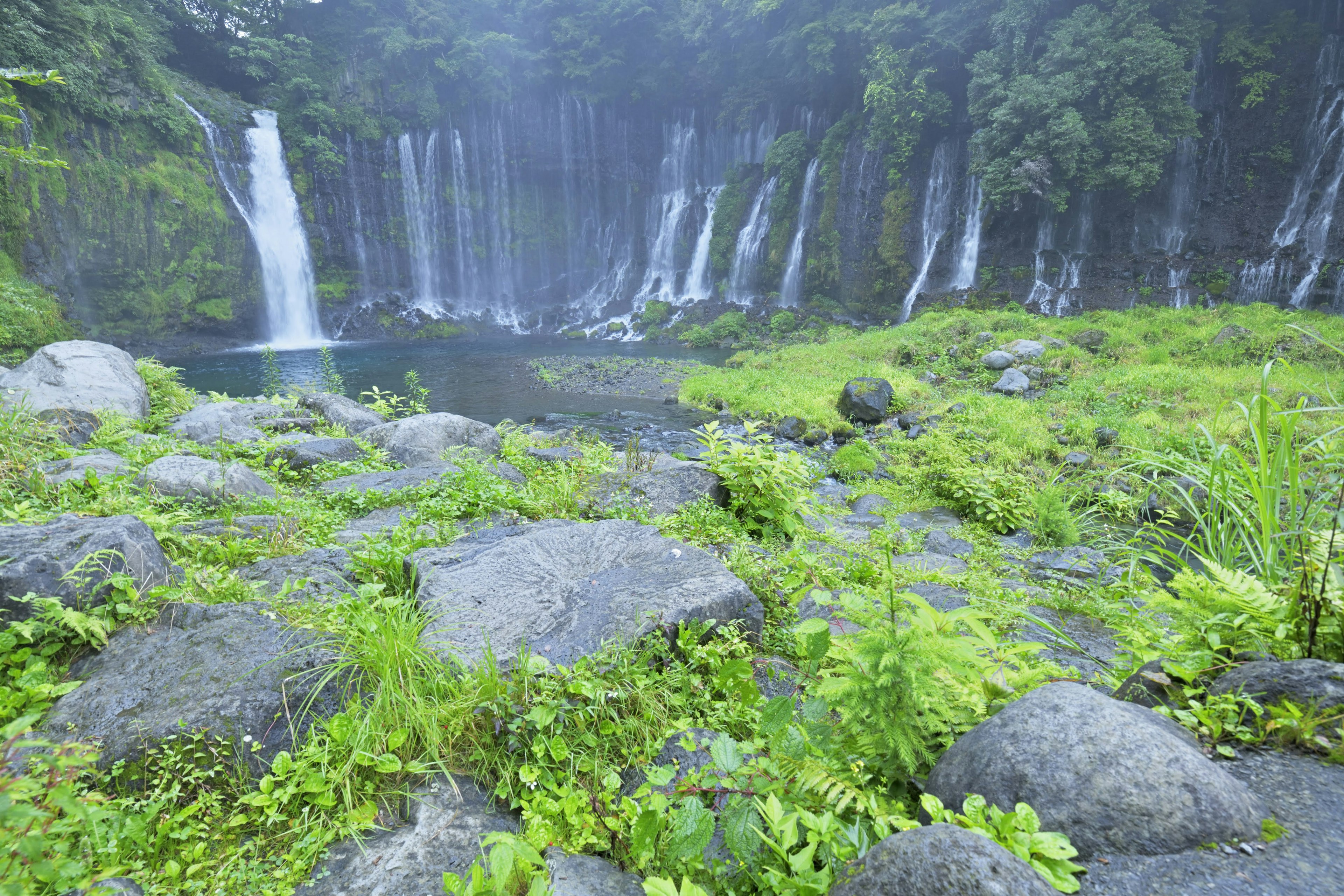 ภูมิทัศน์สีเขียวชอุ่มที่มีน้ำตกและหินในสภาพแวดล้อมที่มีหมอก