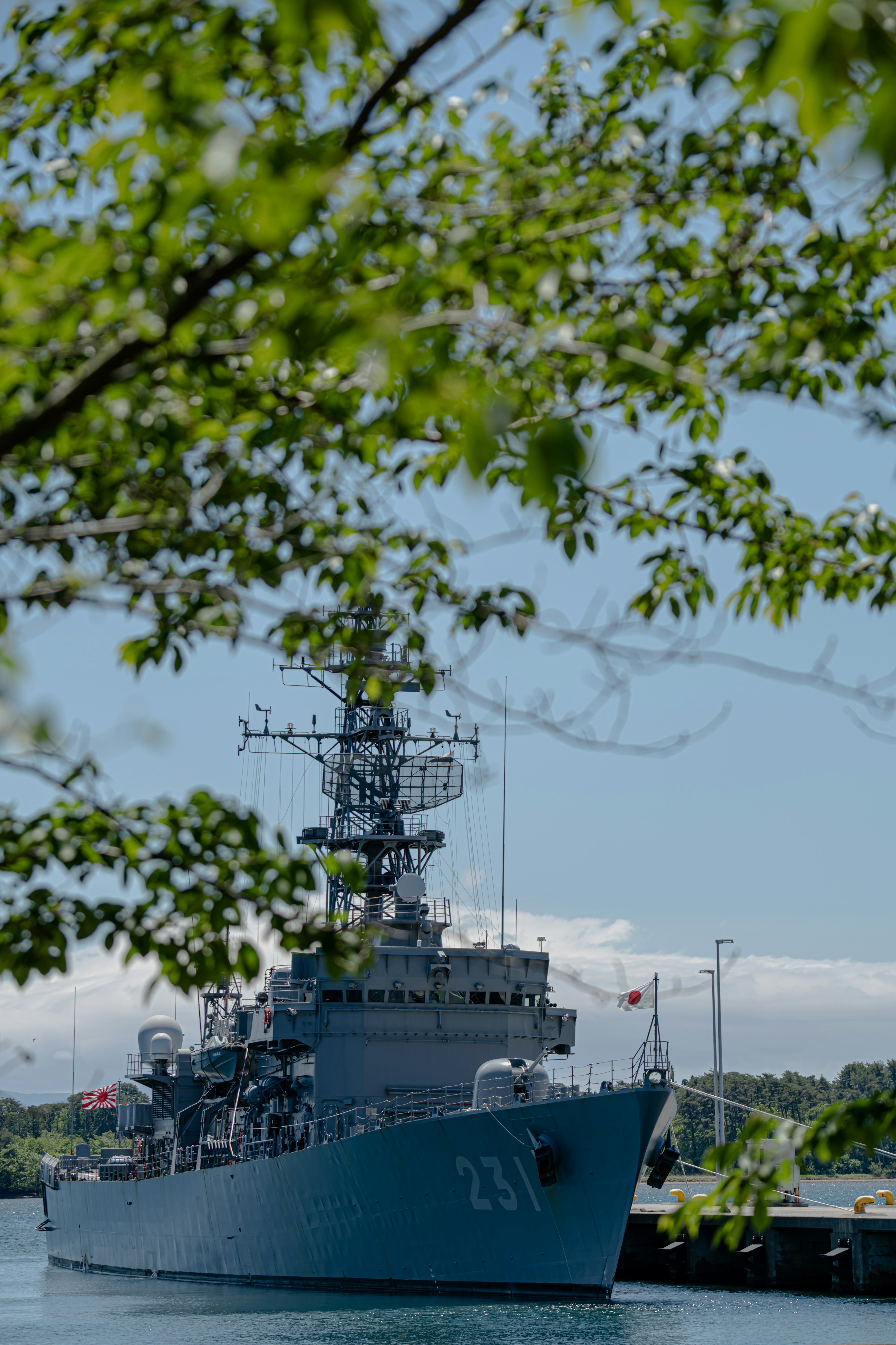 A blue naval ship docked at the harbor captured through foliage