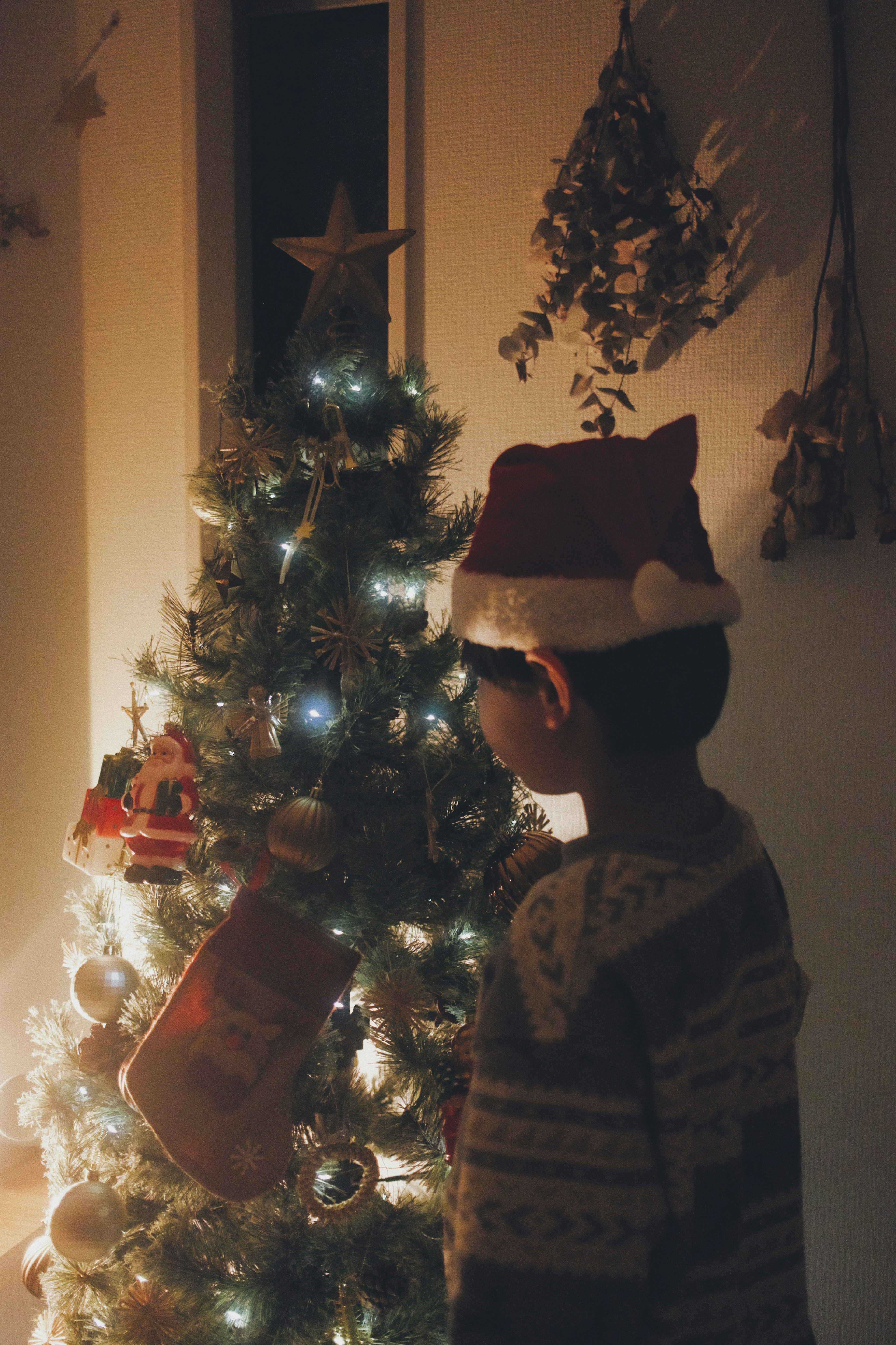 A child wearing a Santa hat stands in front of a Christmas tree