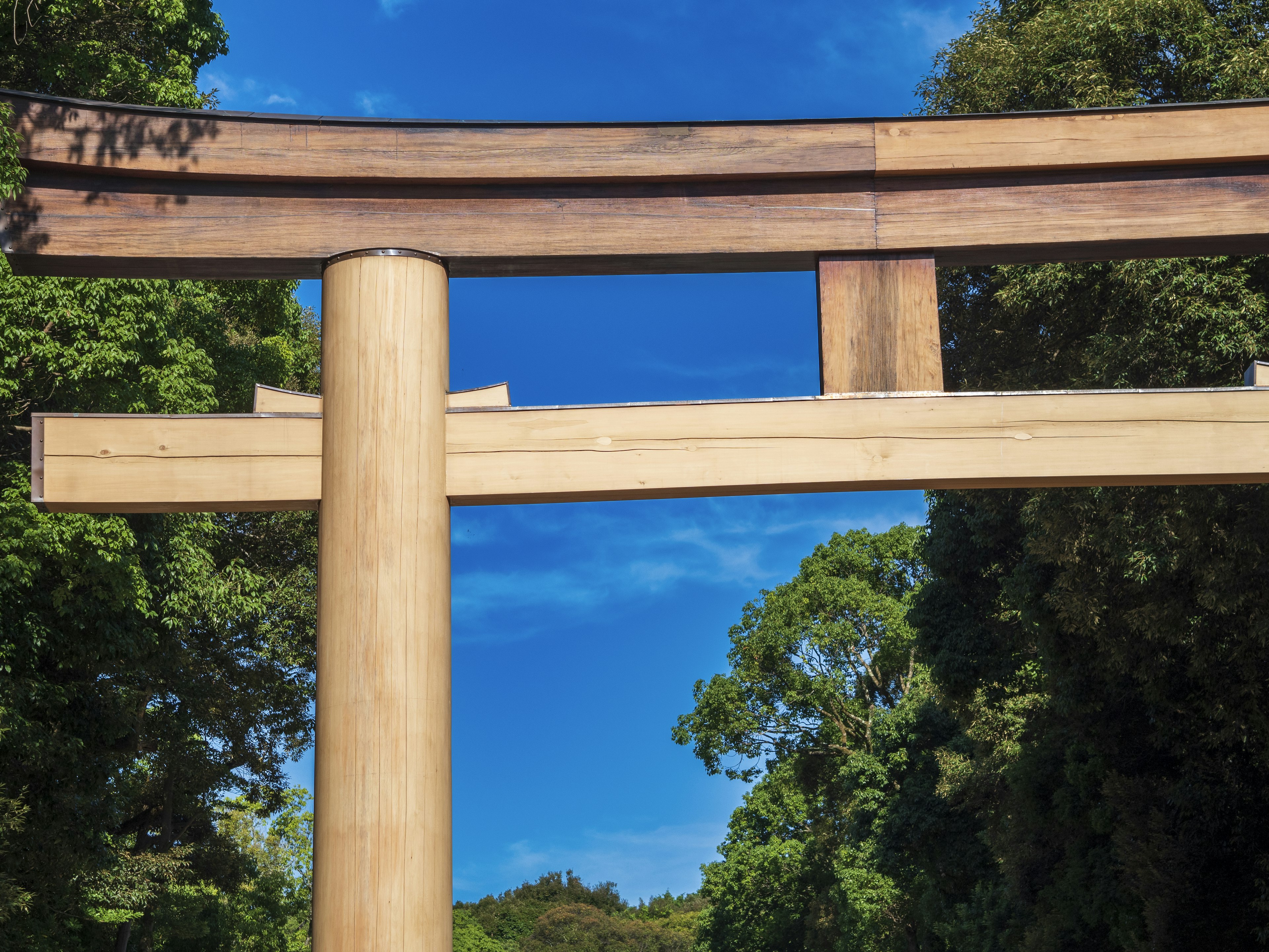 青空の下に立つ大きな木製の鳥居と緑の木々