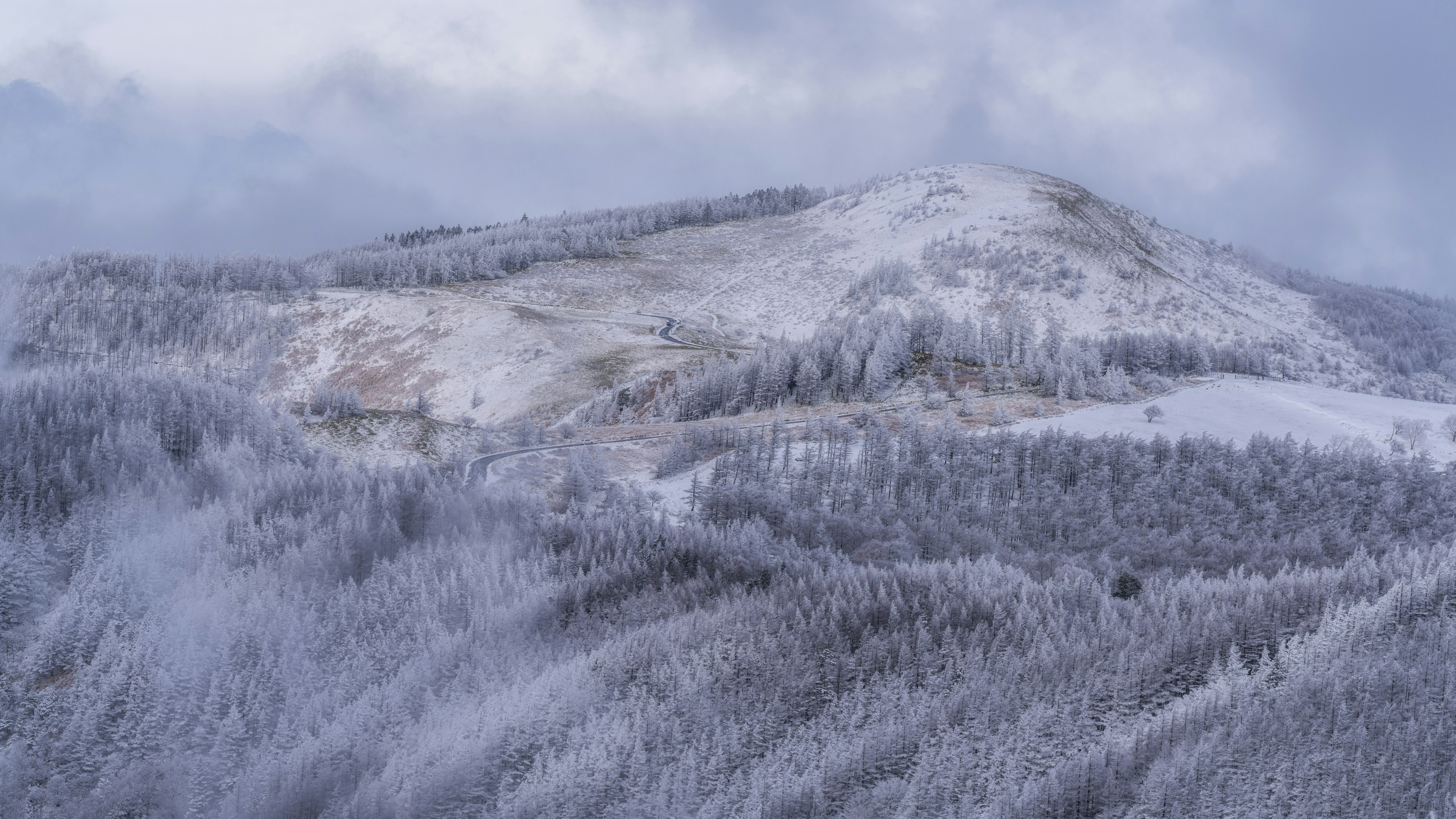 Schneebedeckte Berglandschaft mit dichten Wäldern