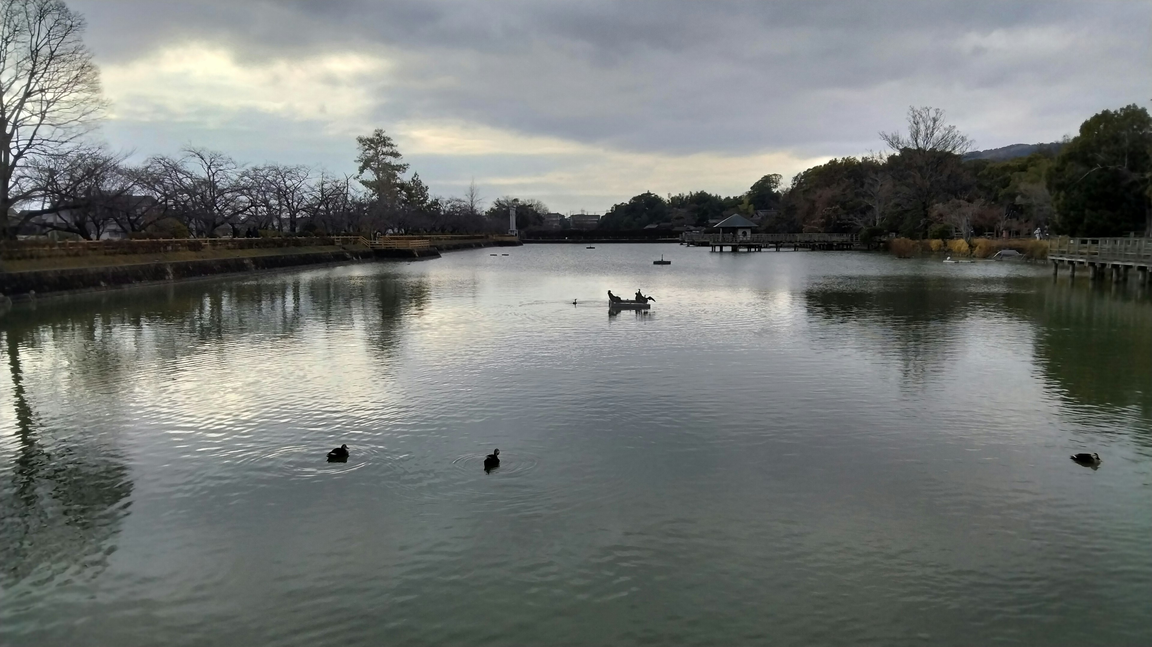 静かな湖の風景にボートと水鳥が浮かぶ