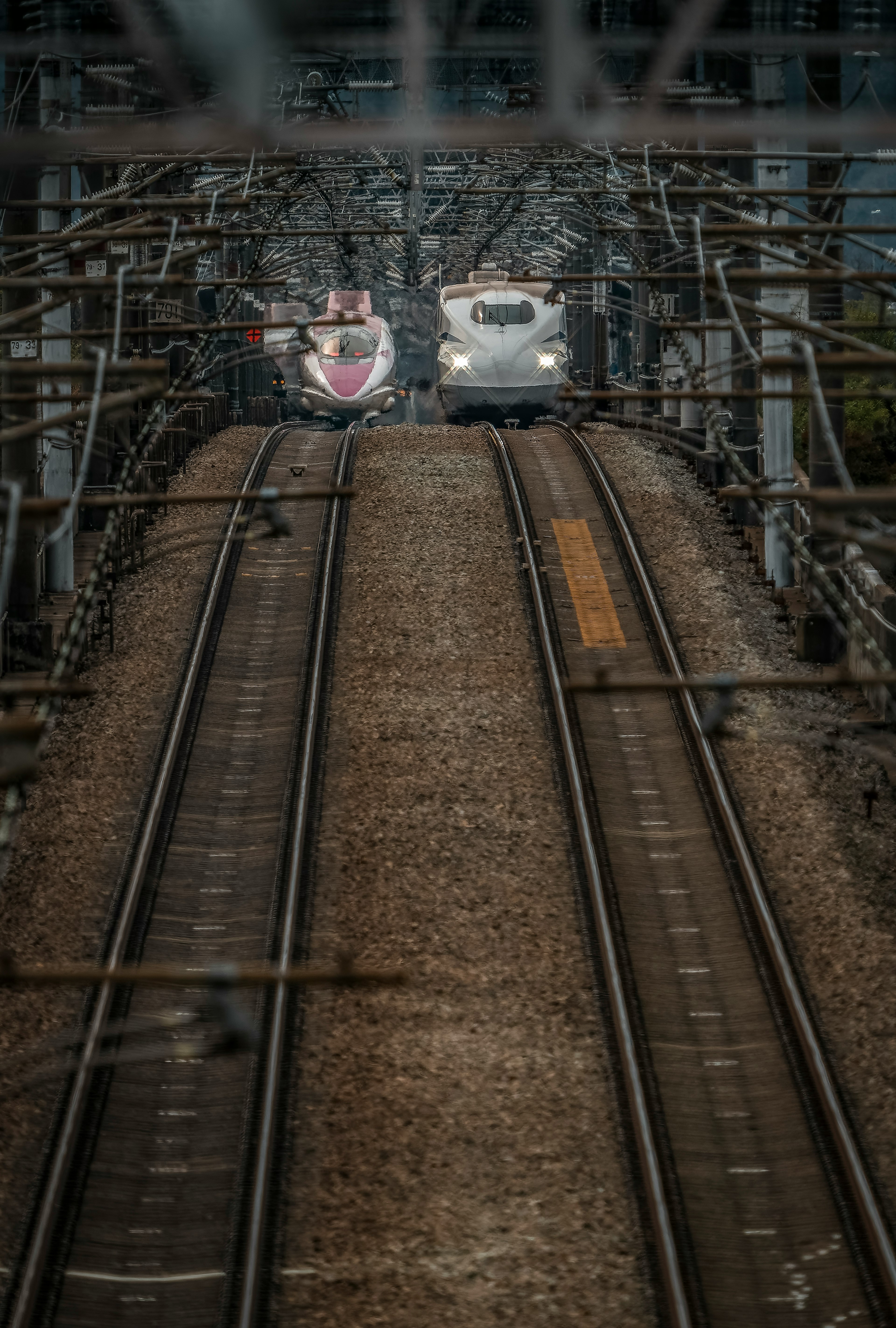 Deux trains Shinkansen se croisant sur des voies ferrées