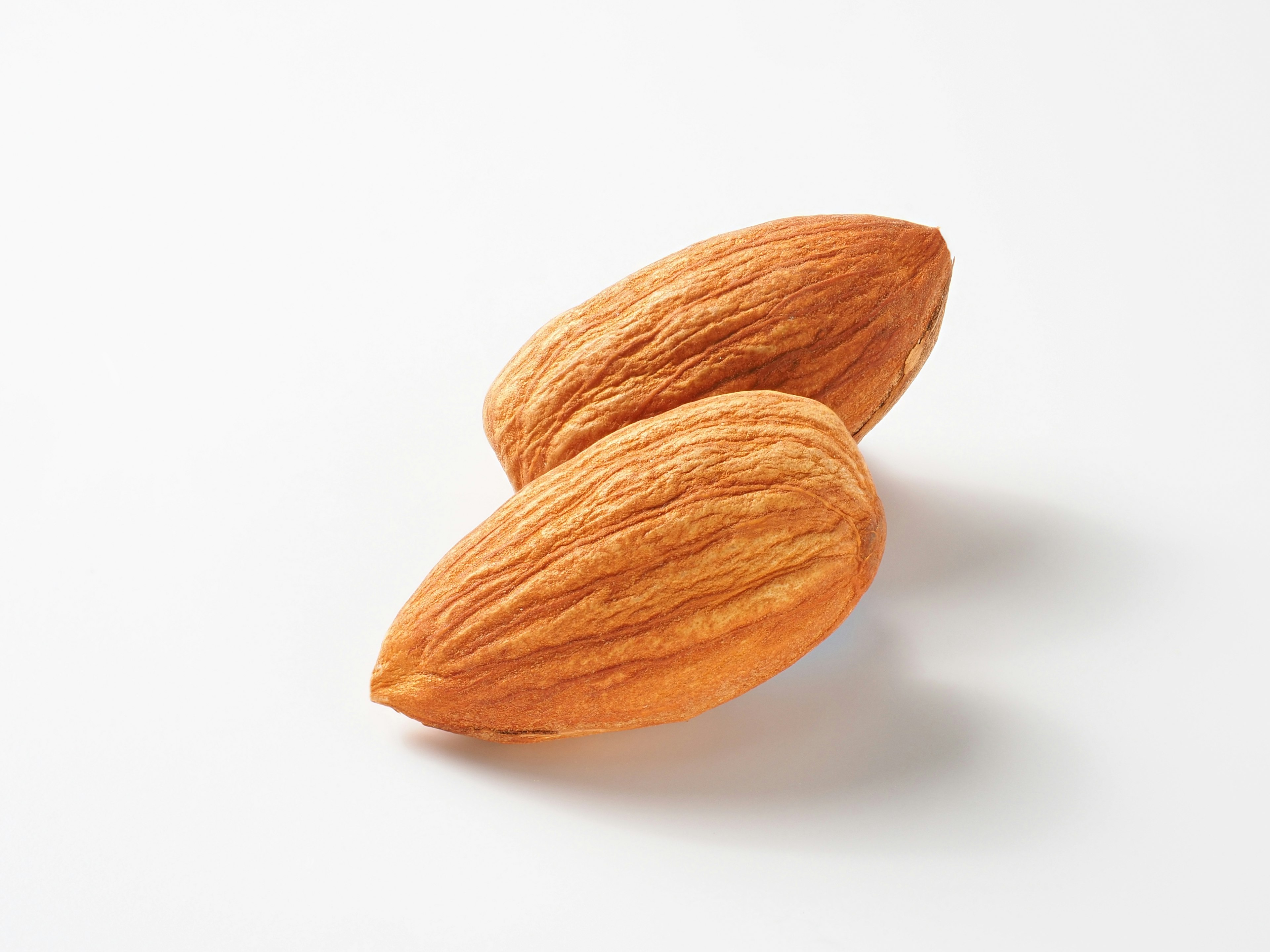 Two almonds with shells on a white background