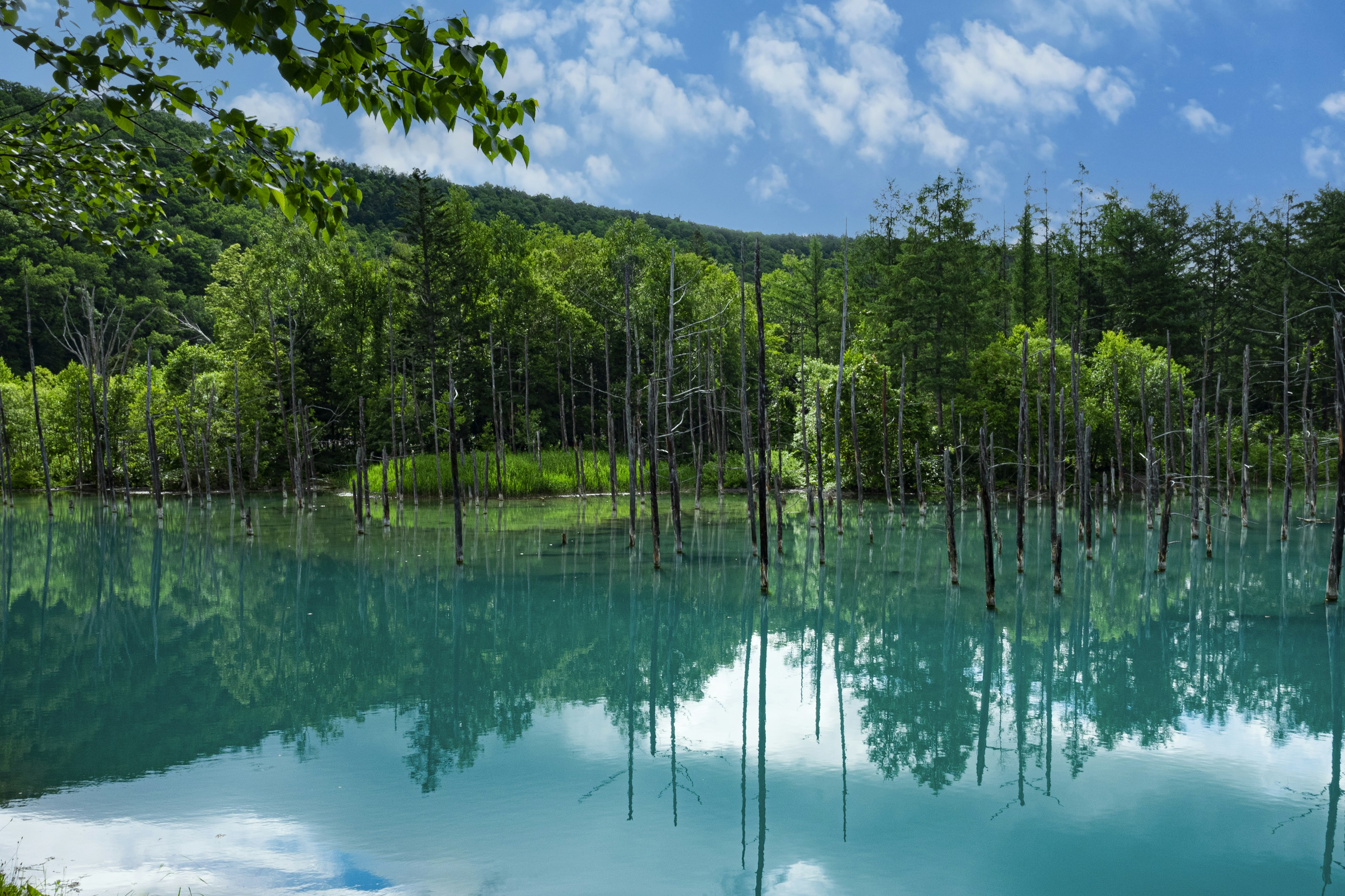 Malerscher Blick auf einen türkisfarbenen See, der grüne Bäume und den blauen Himmel reflektiert