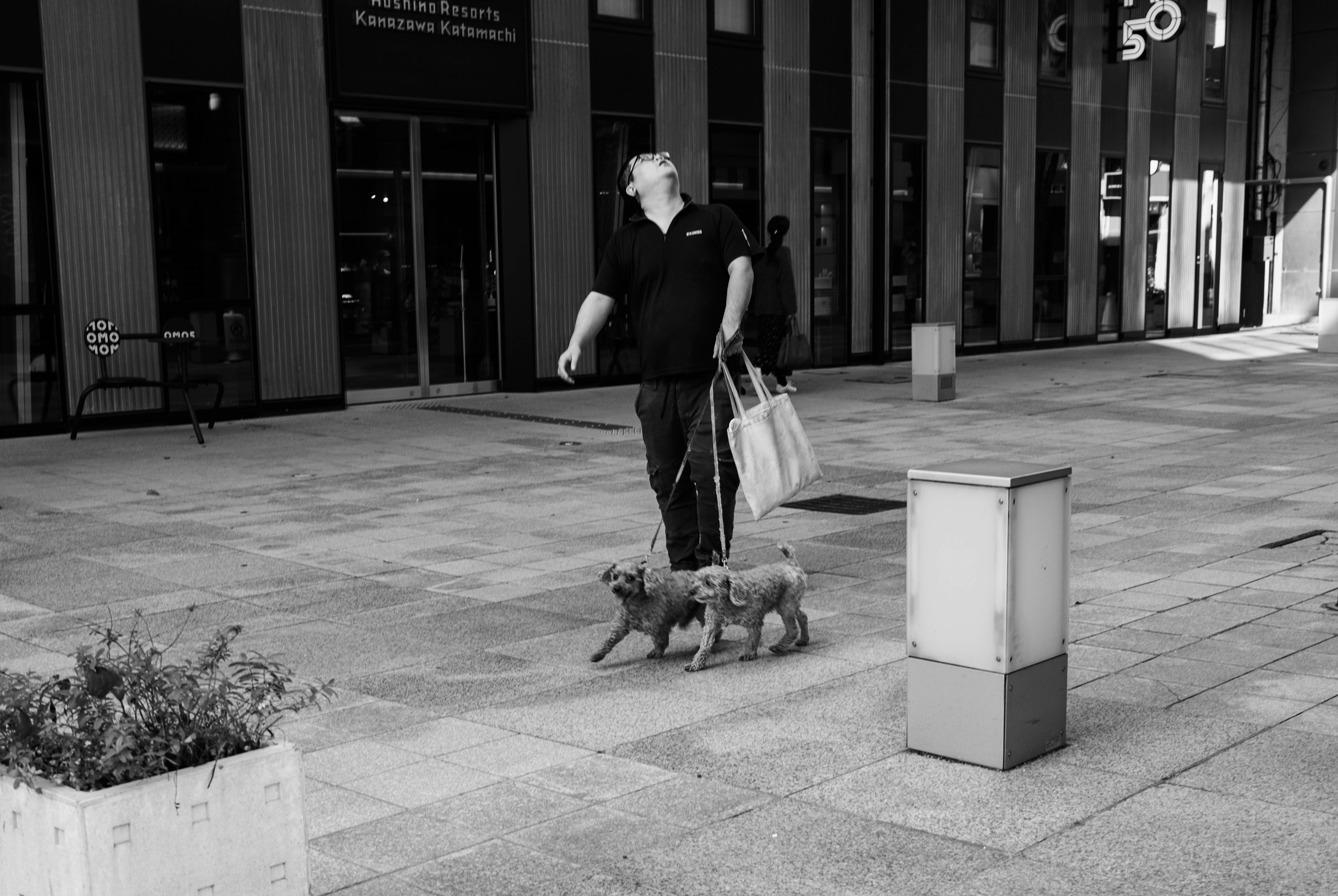 男性が犬を連れて歩いているモノクロの都市の風景