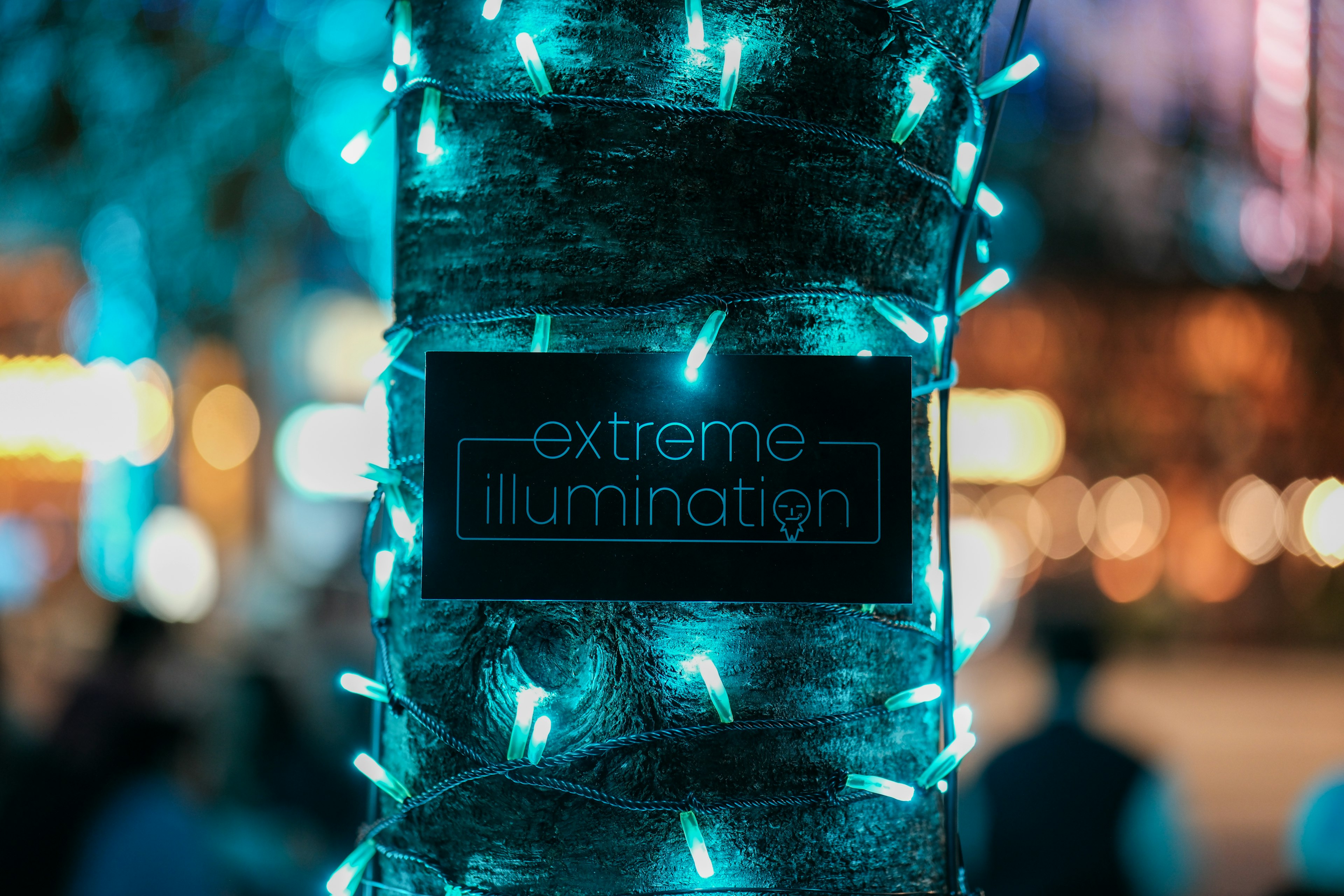 Tree trunk adorned with blue lights featuring an extreme illumination sign