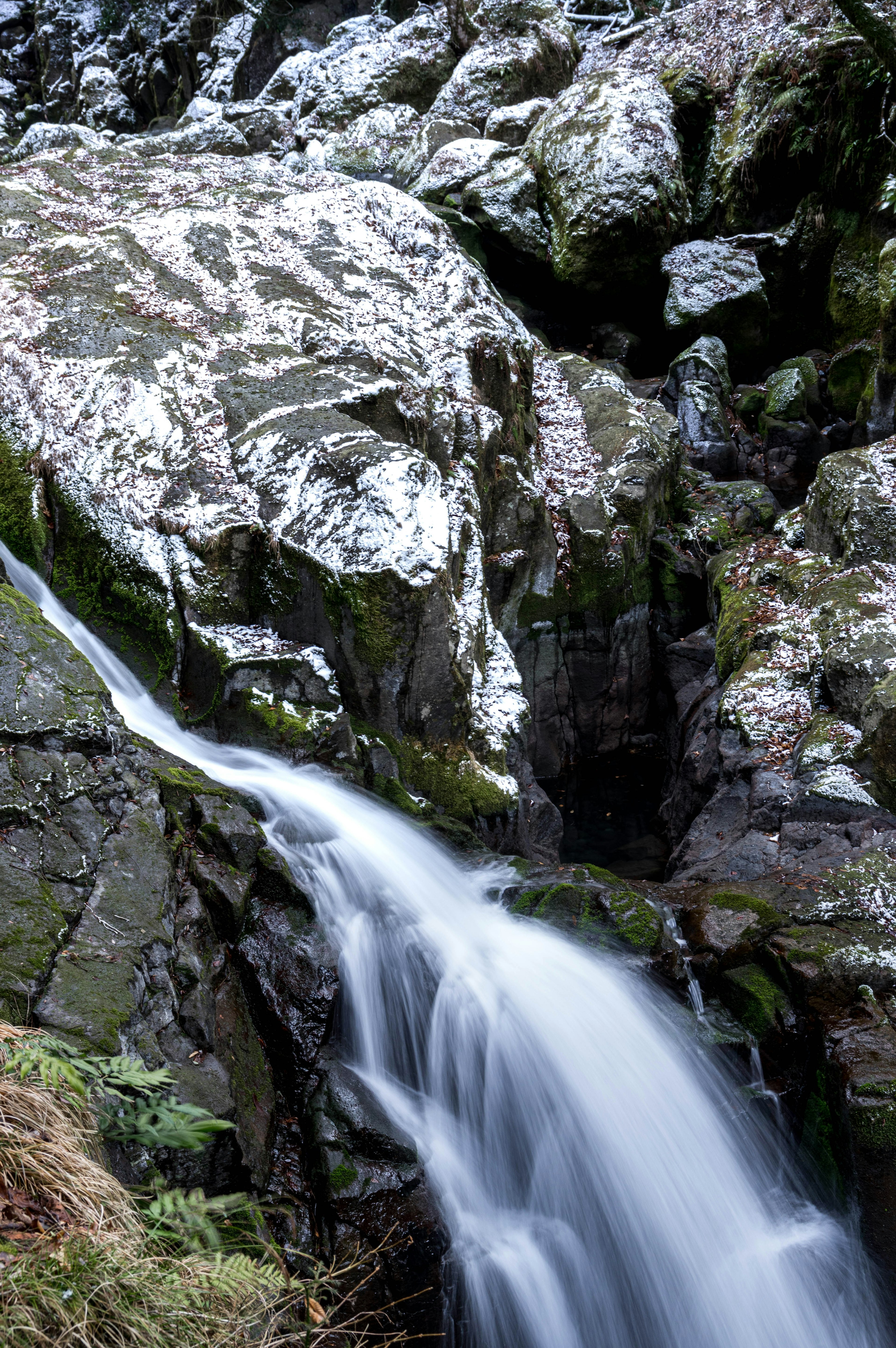 Cascata che scorre su rocce con muschio e vegetazione