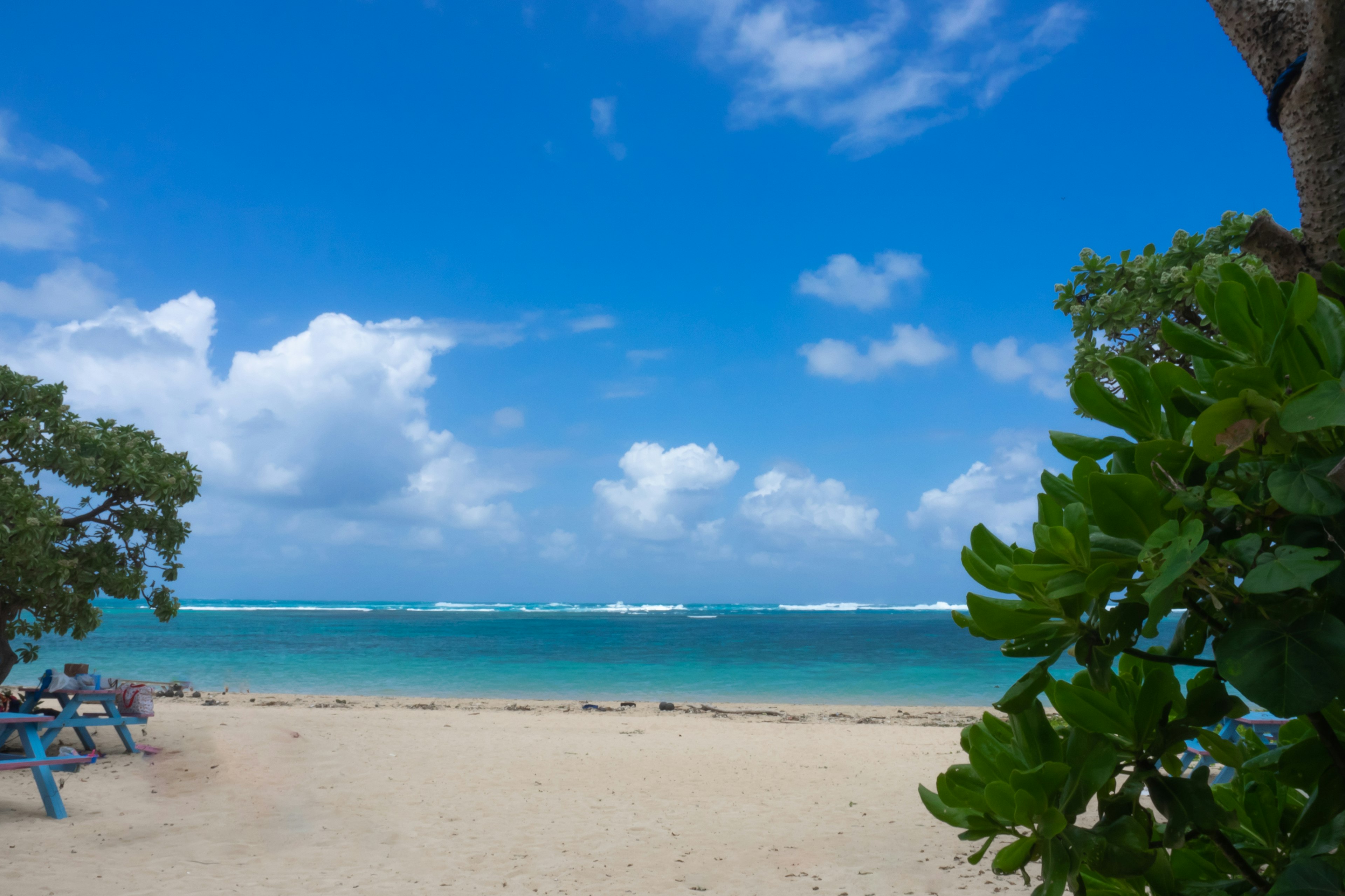 Beautiful beach scene with blue sky and sea featuring palm trees and sandy shore