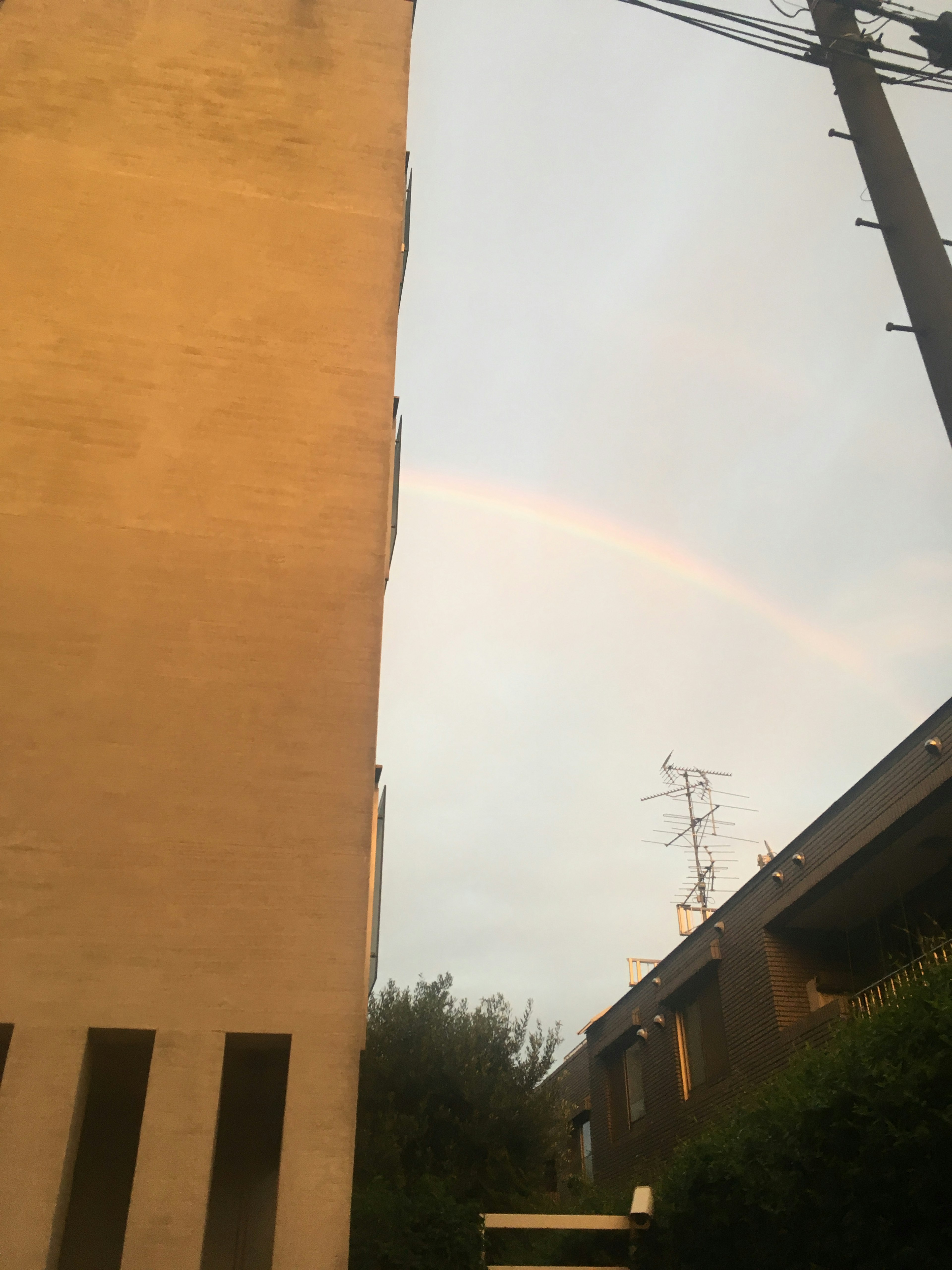 Arch of a rainbow visible between buildings