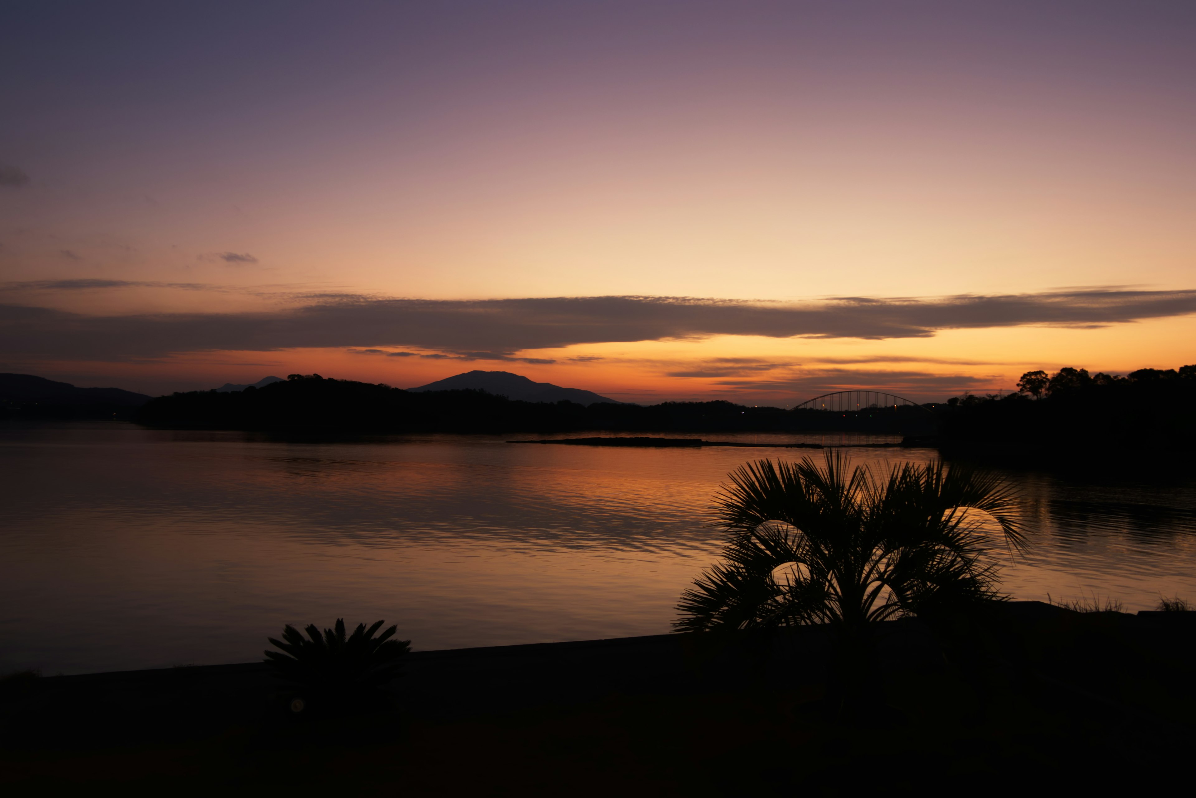 Paisaje al atardecer con un lago que refleja un cielo colorido y plantas en silueta