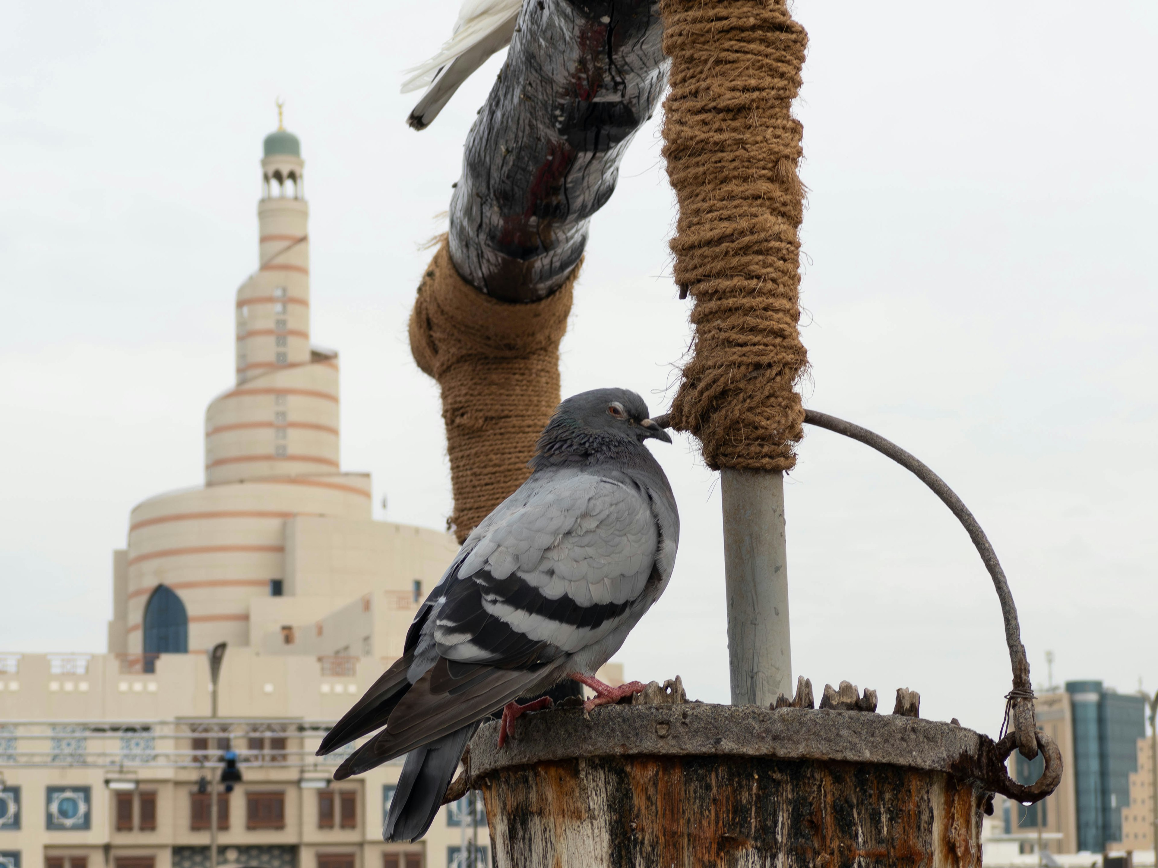 Pigeon gris perché sur un poteau avec un bâtiment avec un minaret en arrière-plan