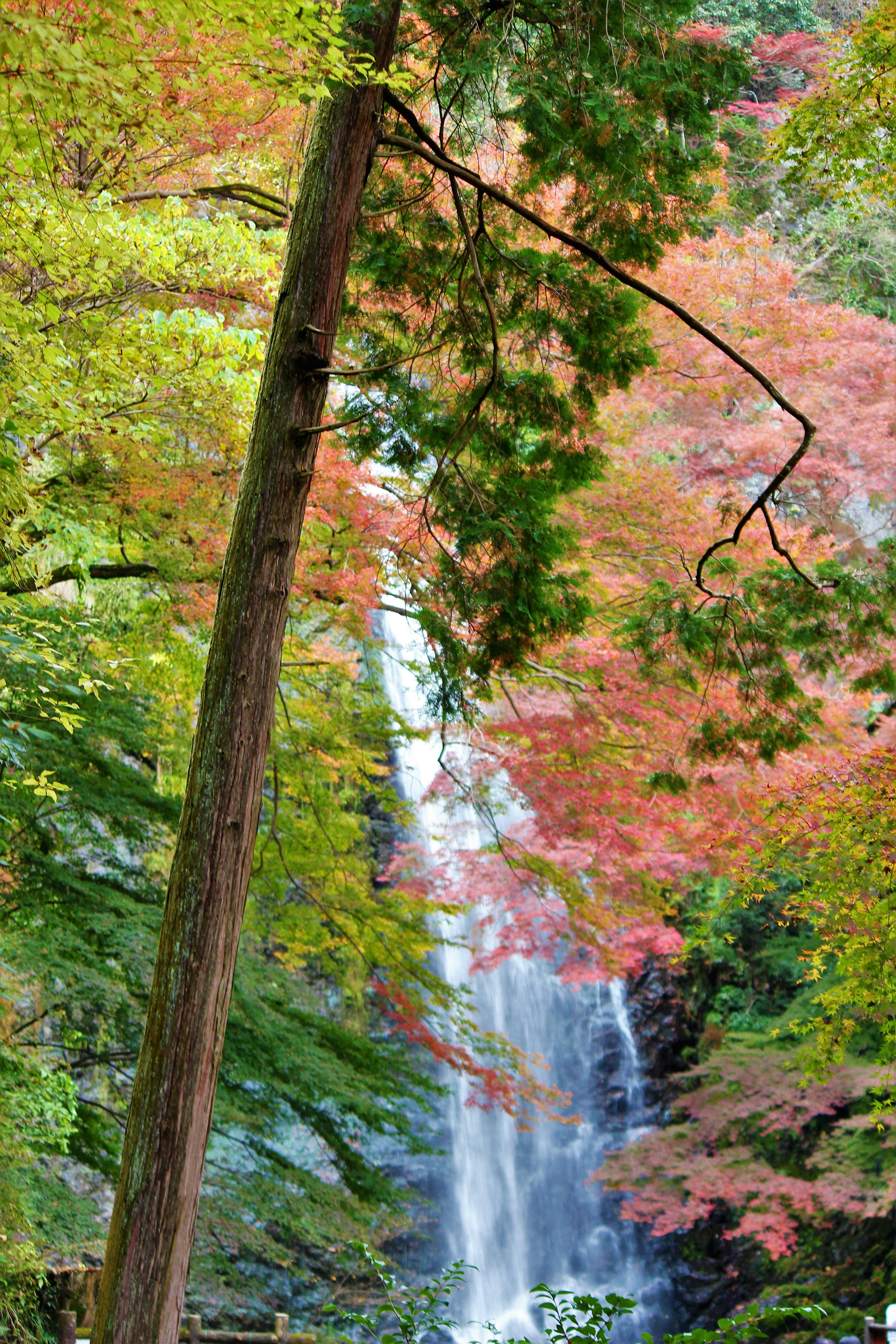 Malersiche Aussicht auf einen Wasserfall umgeben von buntem Herbstlaub