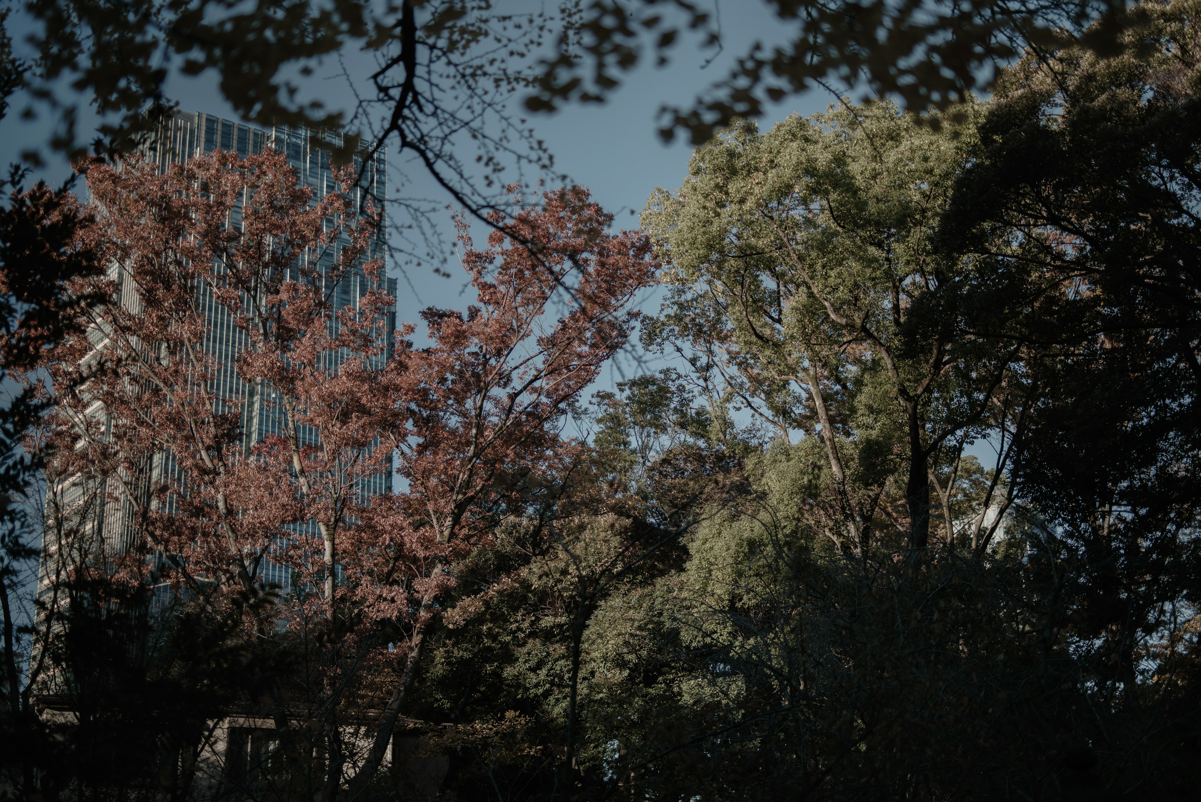 A view featuring a modern building surrounded by autumn trees