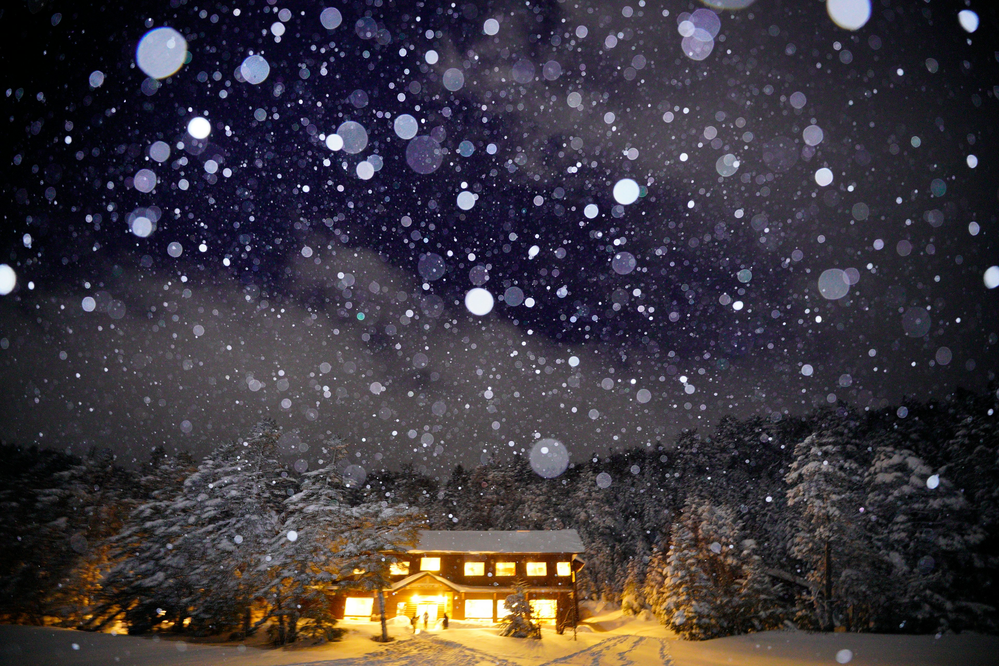 Snowy night scene with a warm-lit house surrounded by falling snow