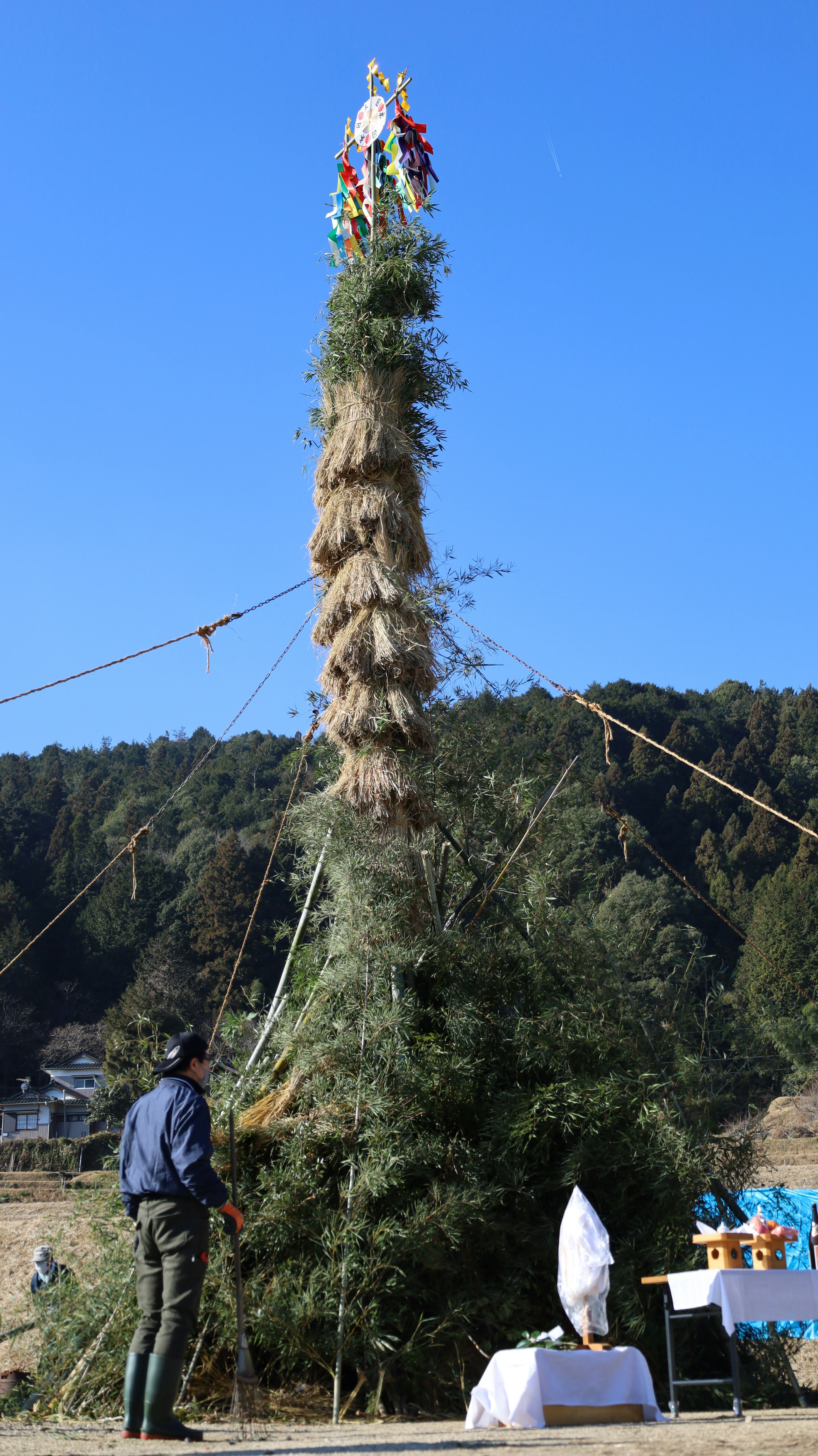 Tour d'arbre haute sous un ciel bleu avec un homme devant un autel