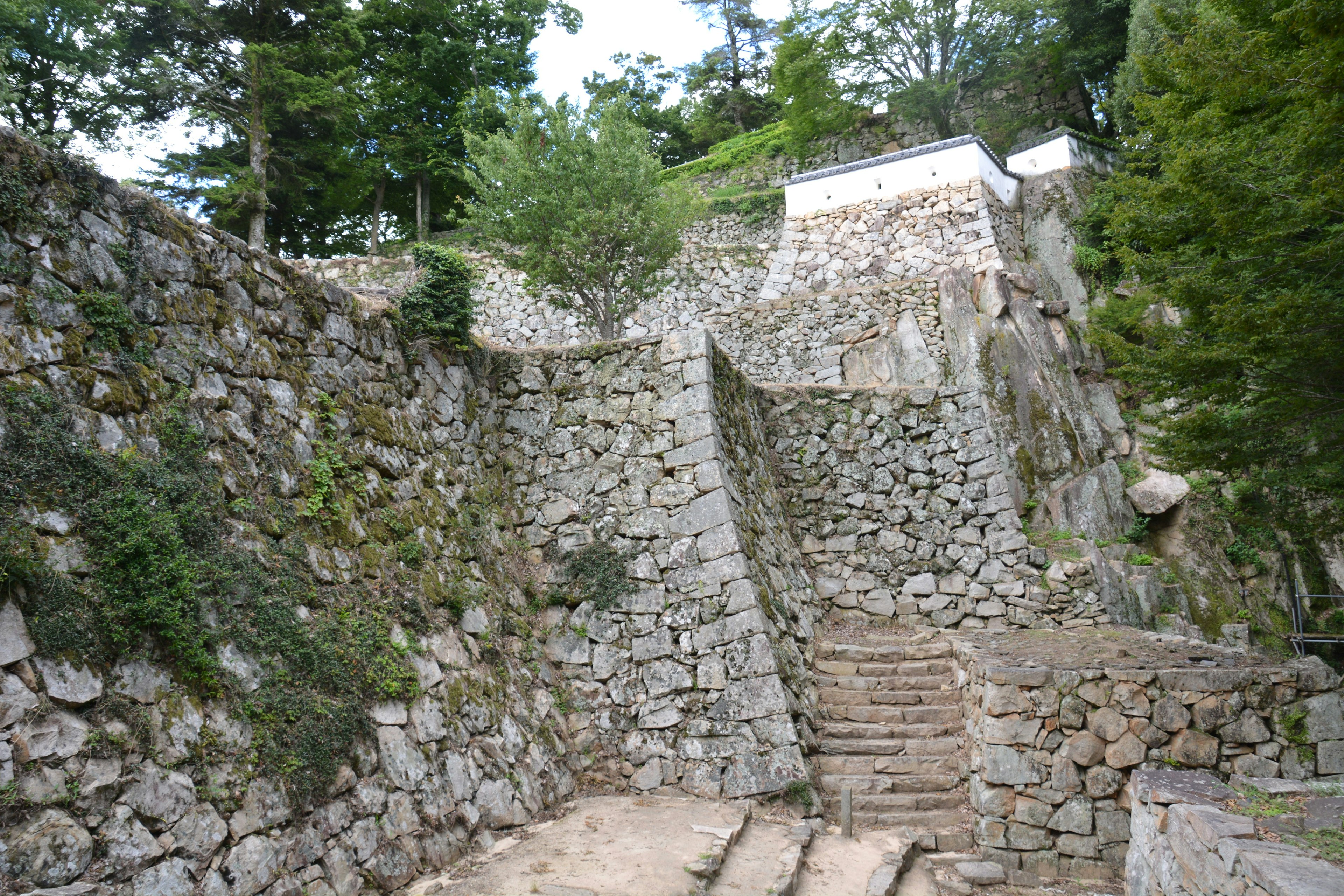 Escalera de piedra rodeada de vegetación y muros antiguos