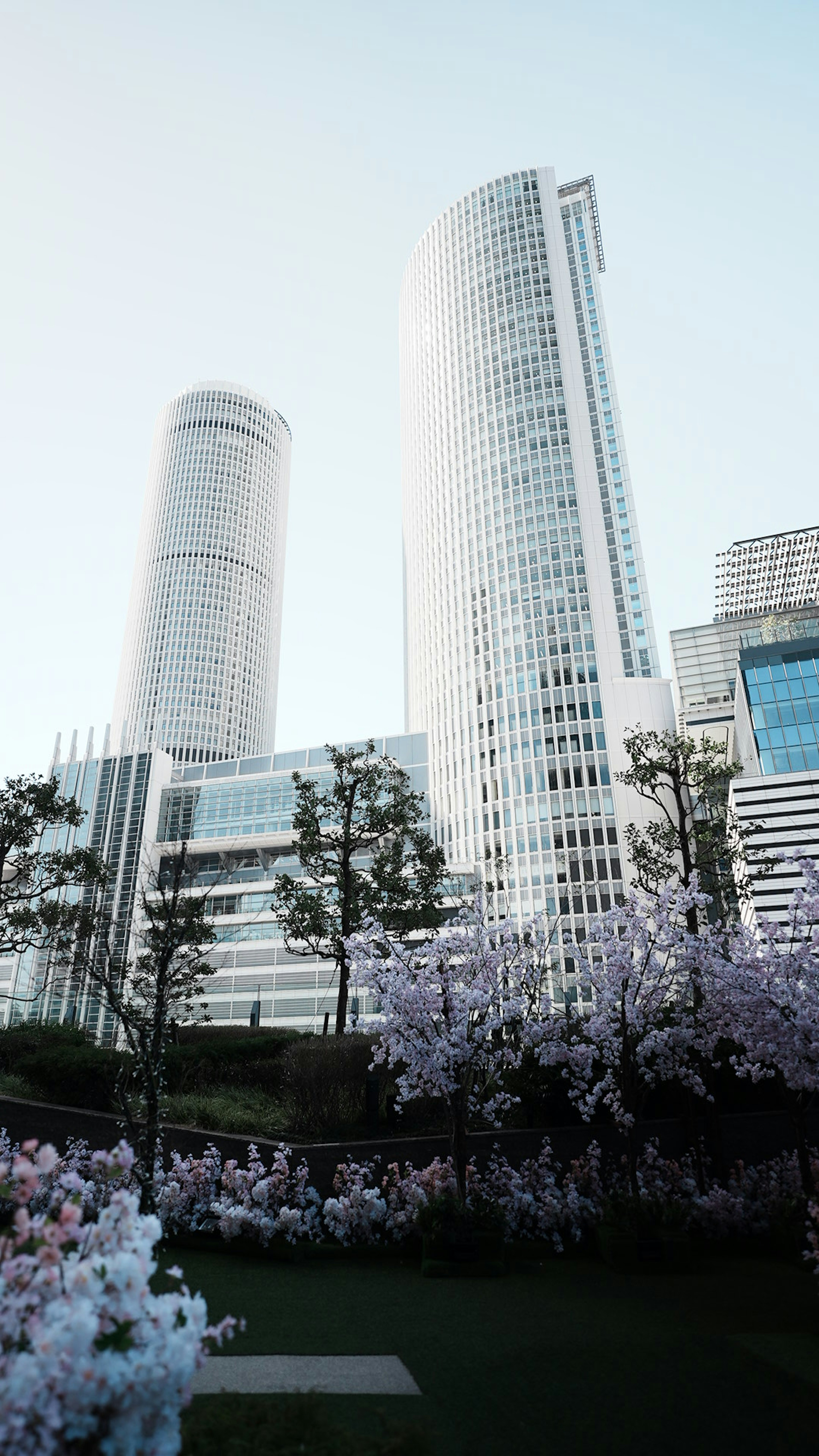 花が咲く公園の前に高層ビルが立つ風景