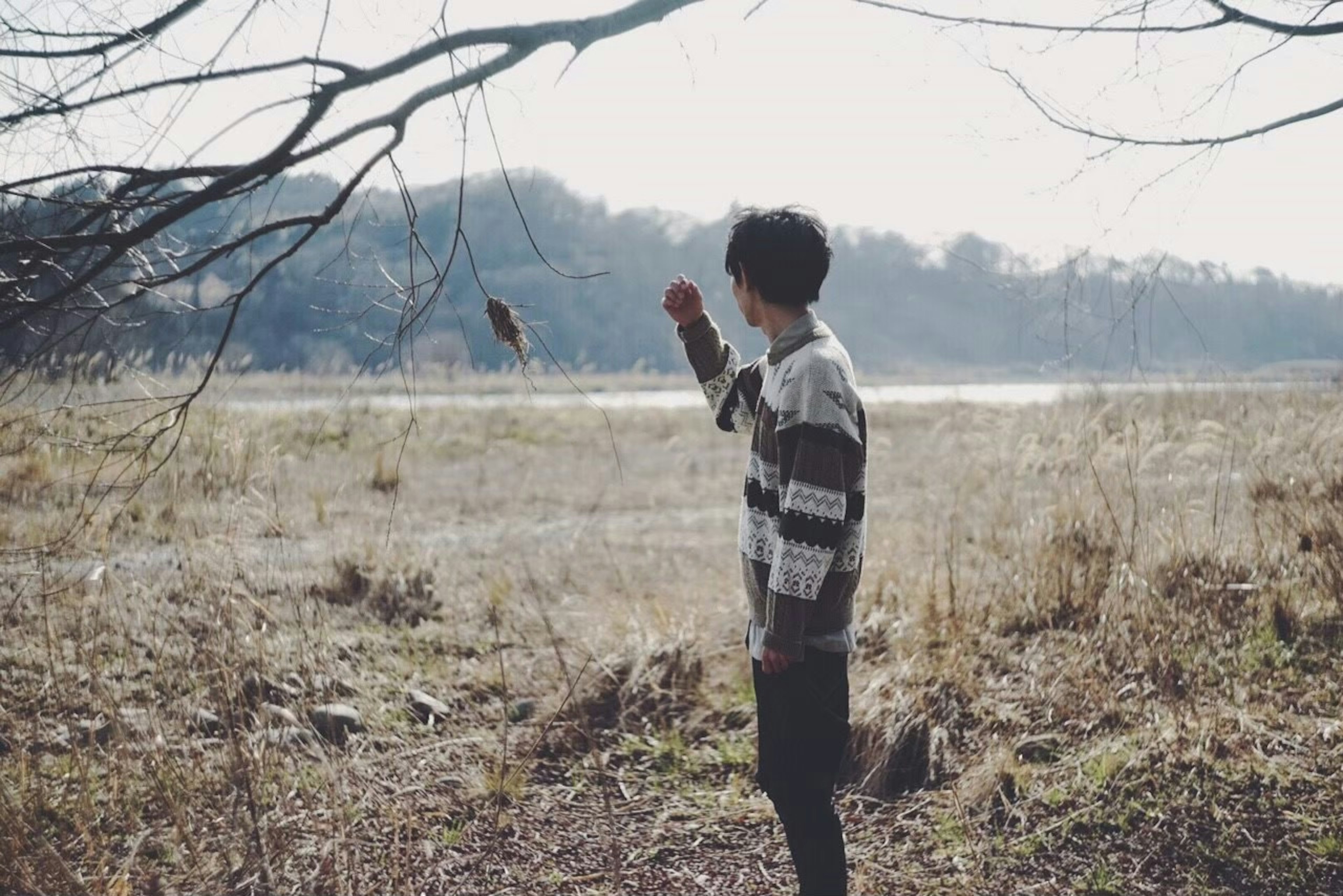 A boy holding a small branch in a natural setting