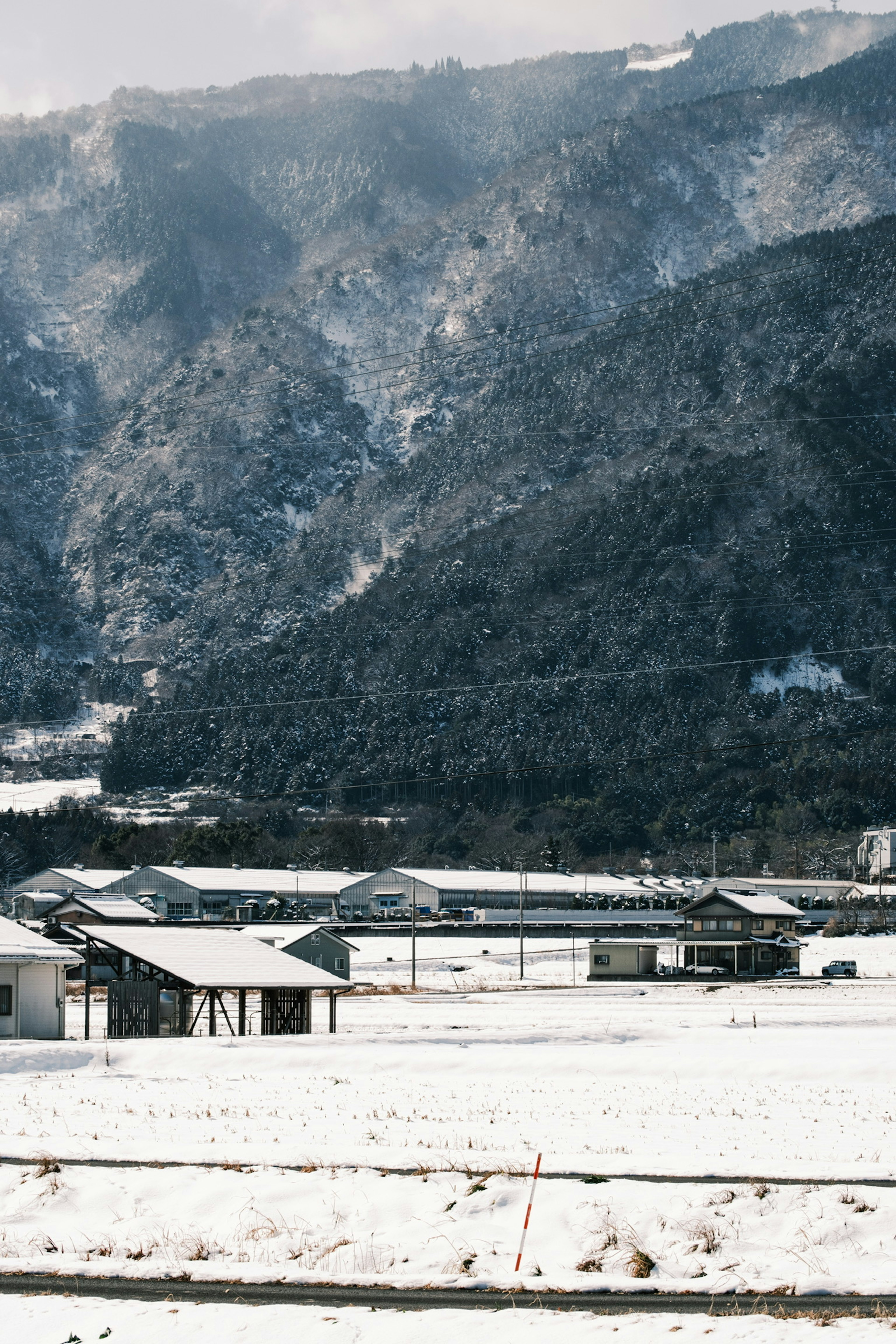 被雪覆蓋的鄉村景觀和背景中的山脈