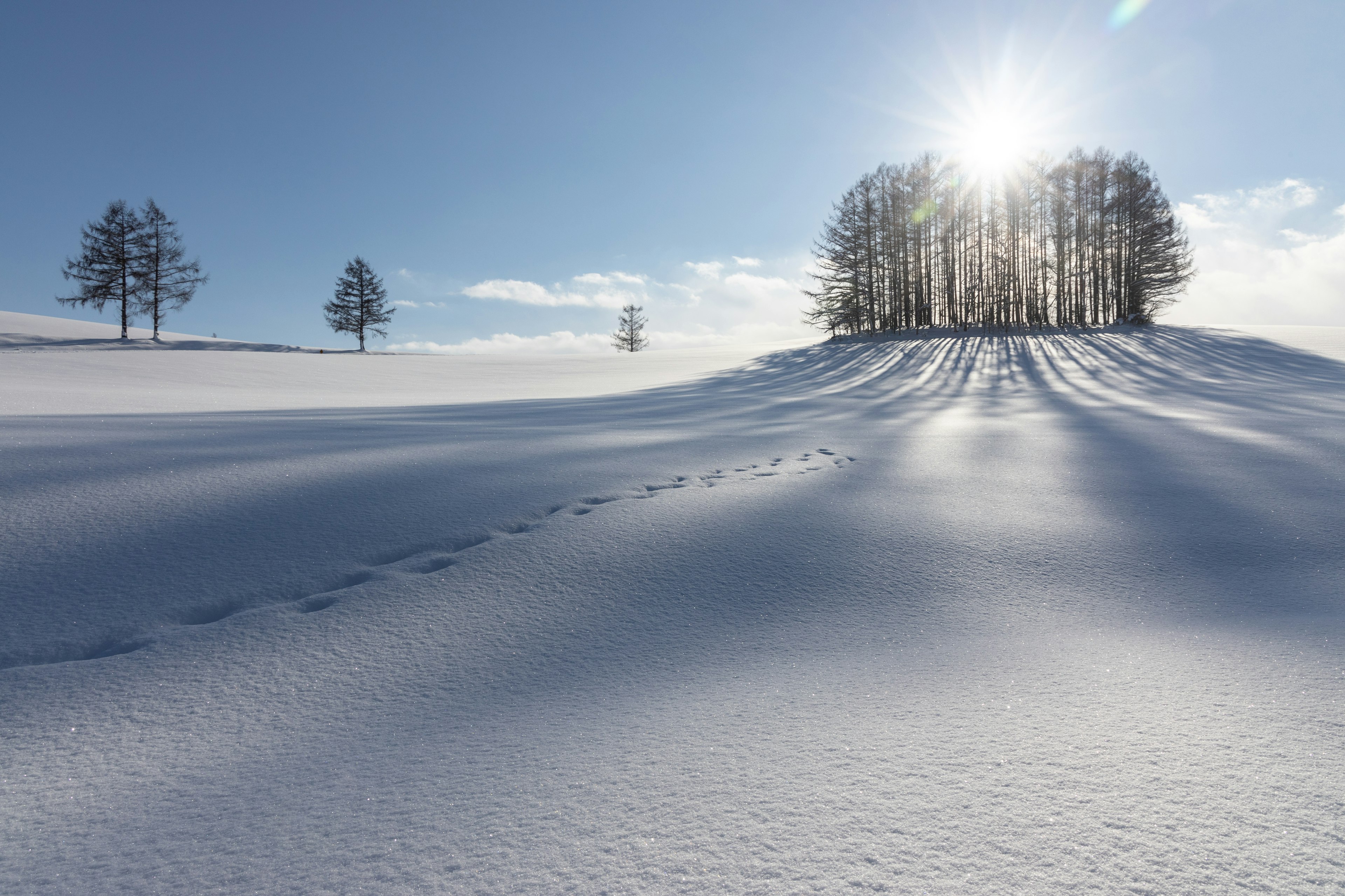 Paisaje nevado con sol brillante