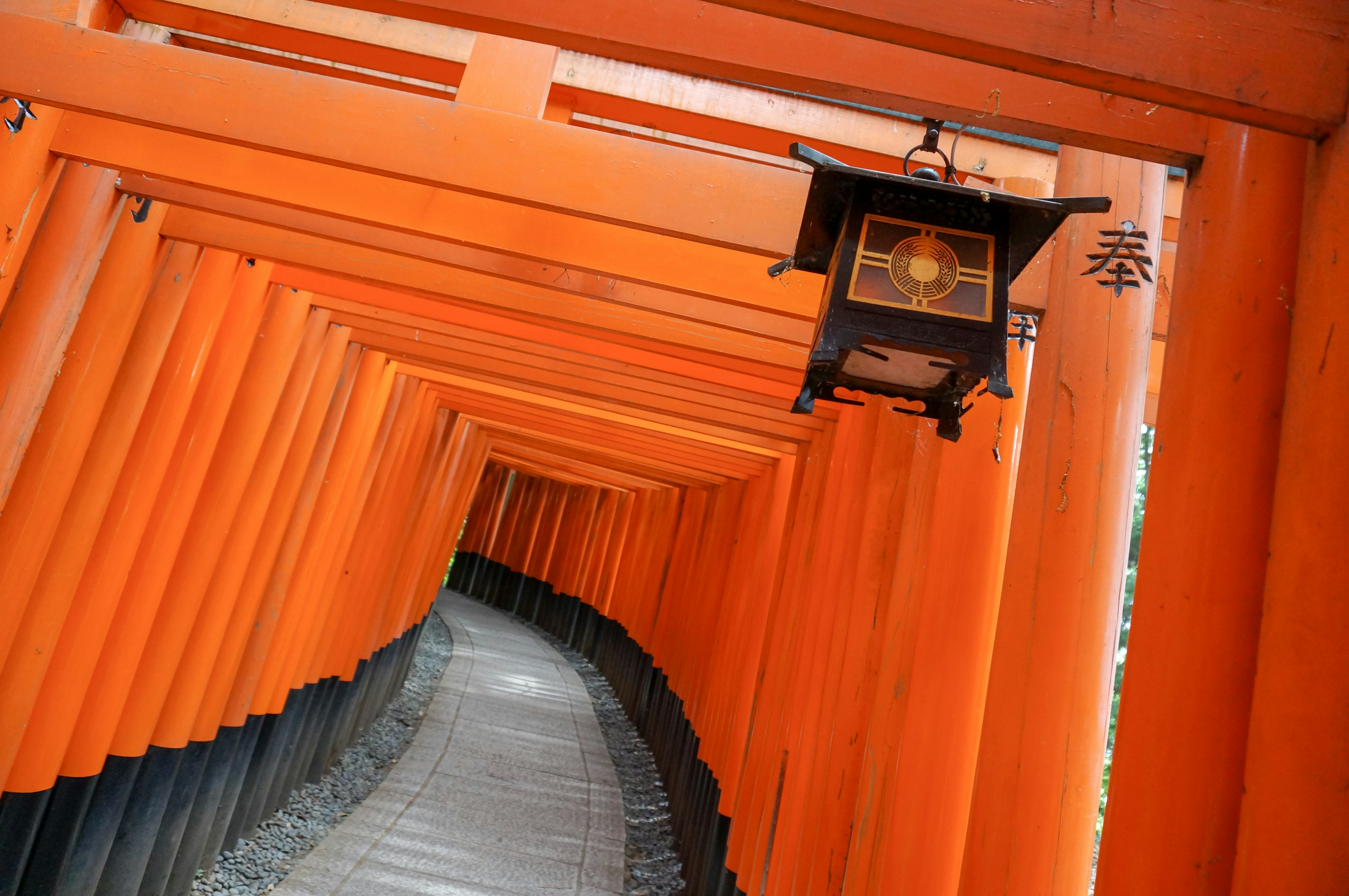 Allée bordée de portes torii orange vif et d'une lanterne