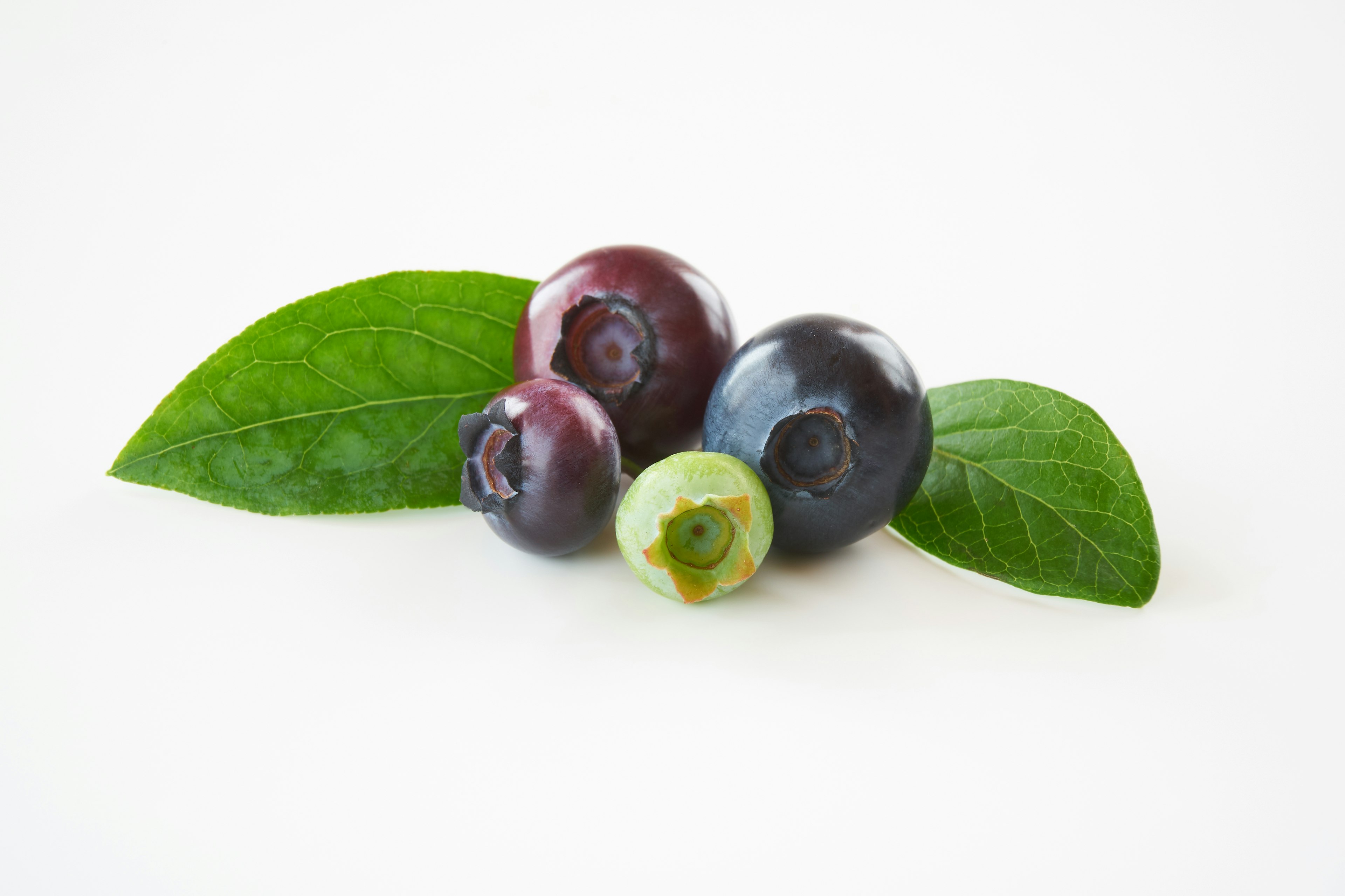 Blueberries with green leaves and a cut fruit revealing its interior