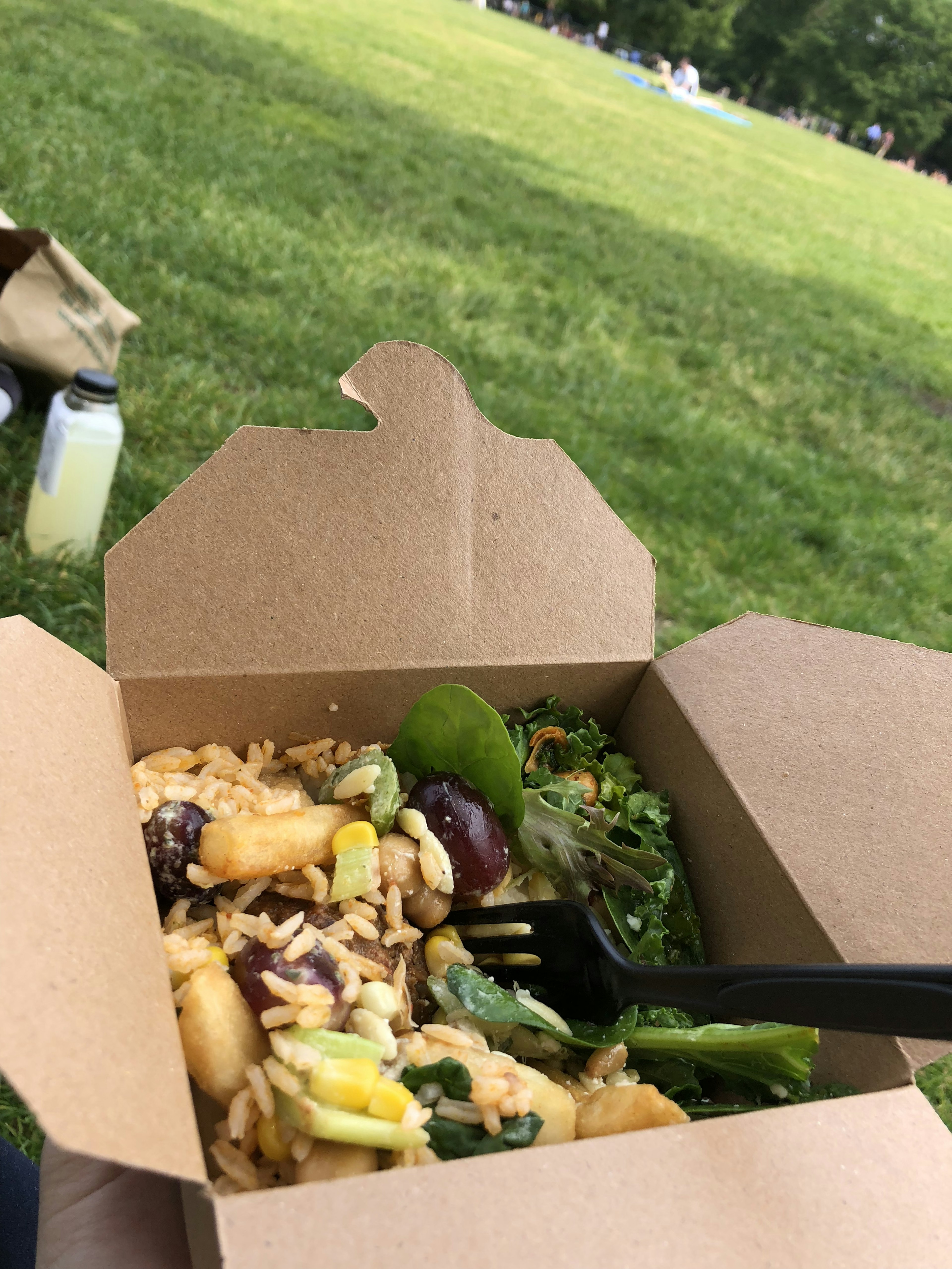 Eine Person genießt eine Mahlzeit in einem Park mit einer Takeout-Box