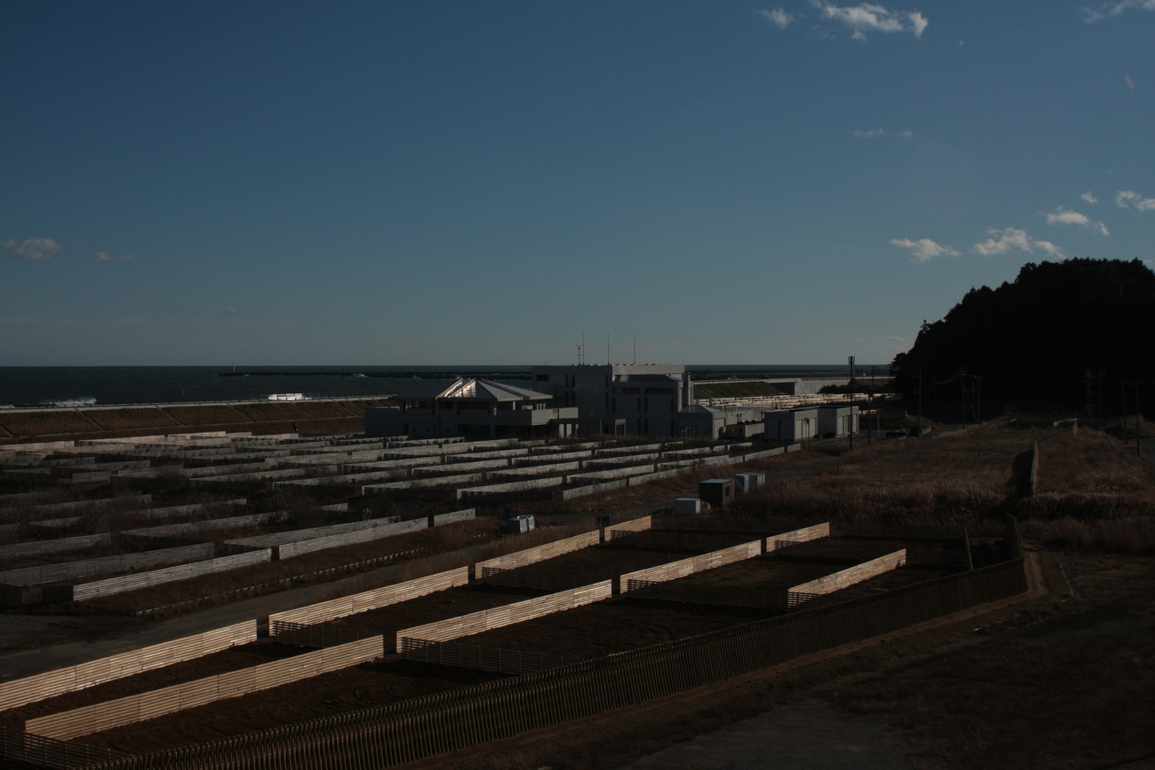 Longues rangées de planches en bois sur un grand terrain donnant sur la mer avec des bâtiments d'usine