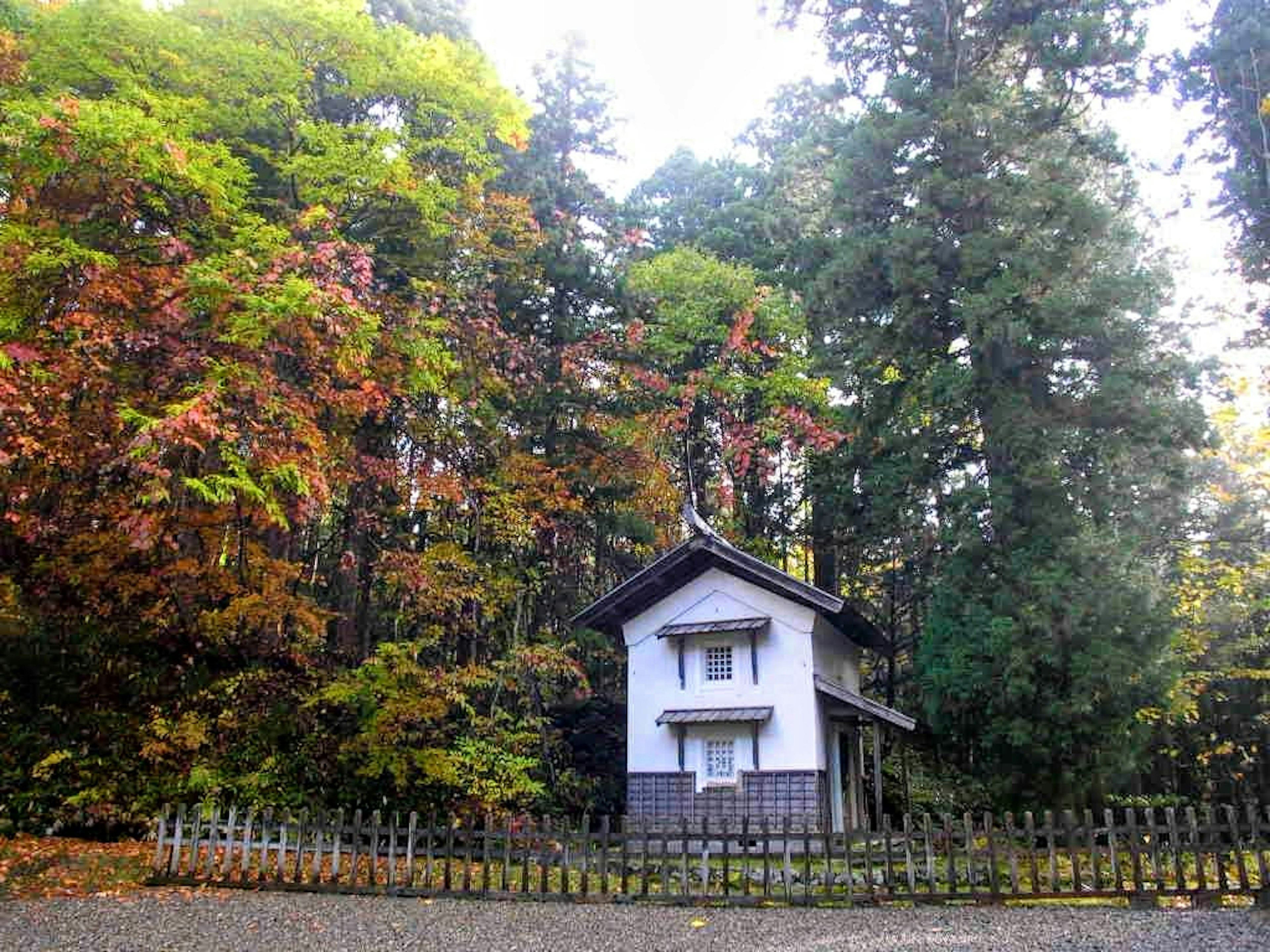 色とりどりの木々に囲まれた小さな白い家 秋の風景