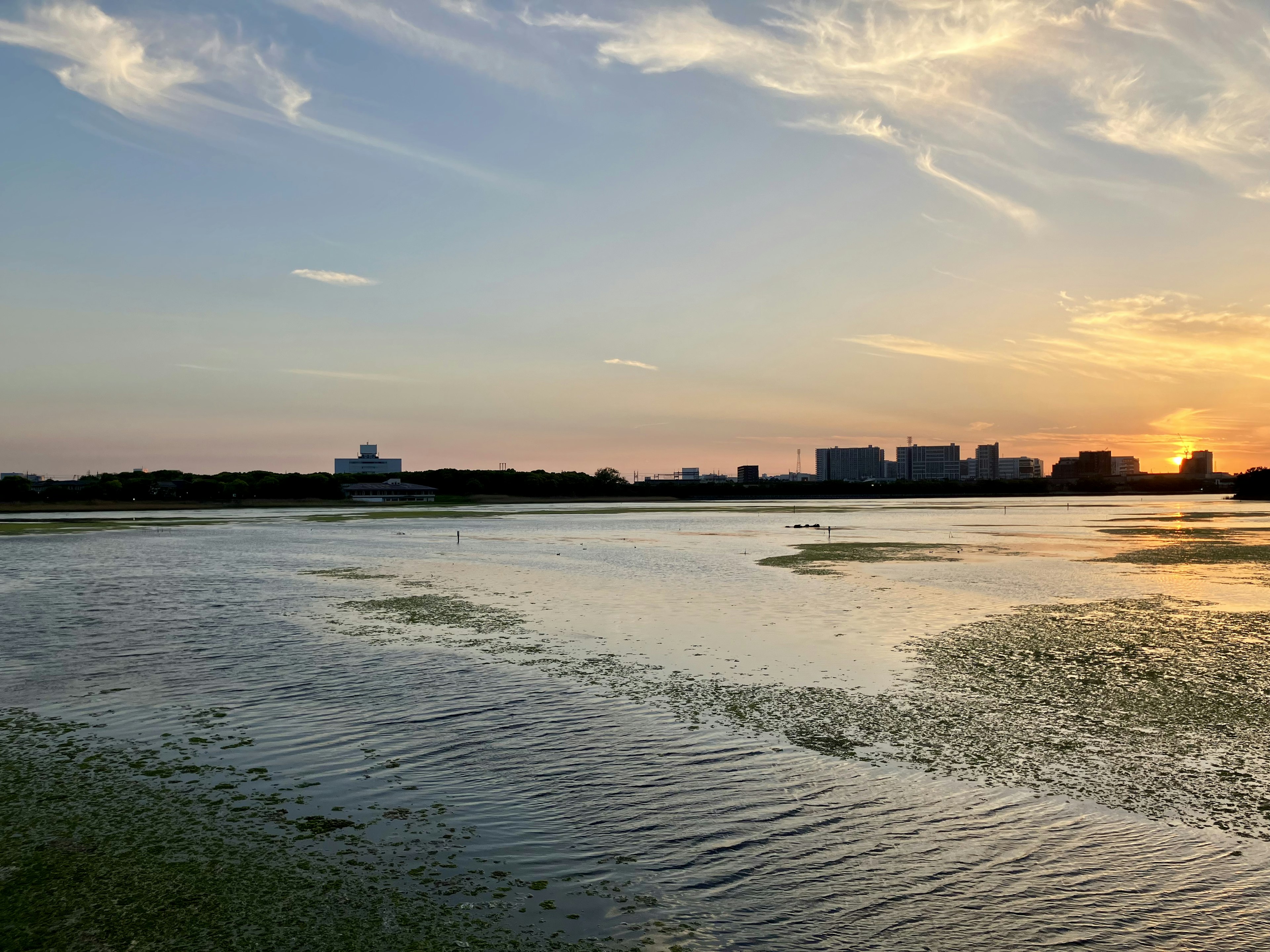 夕日の光が反射する静かな水面と遠くの建物群