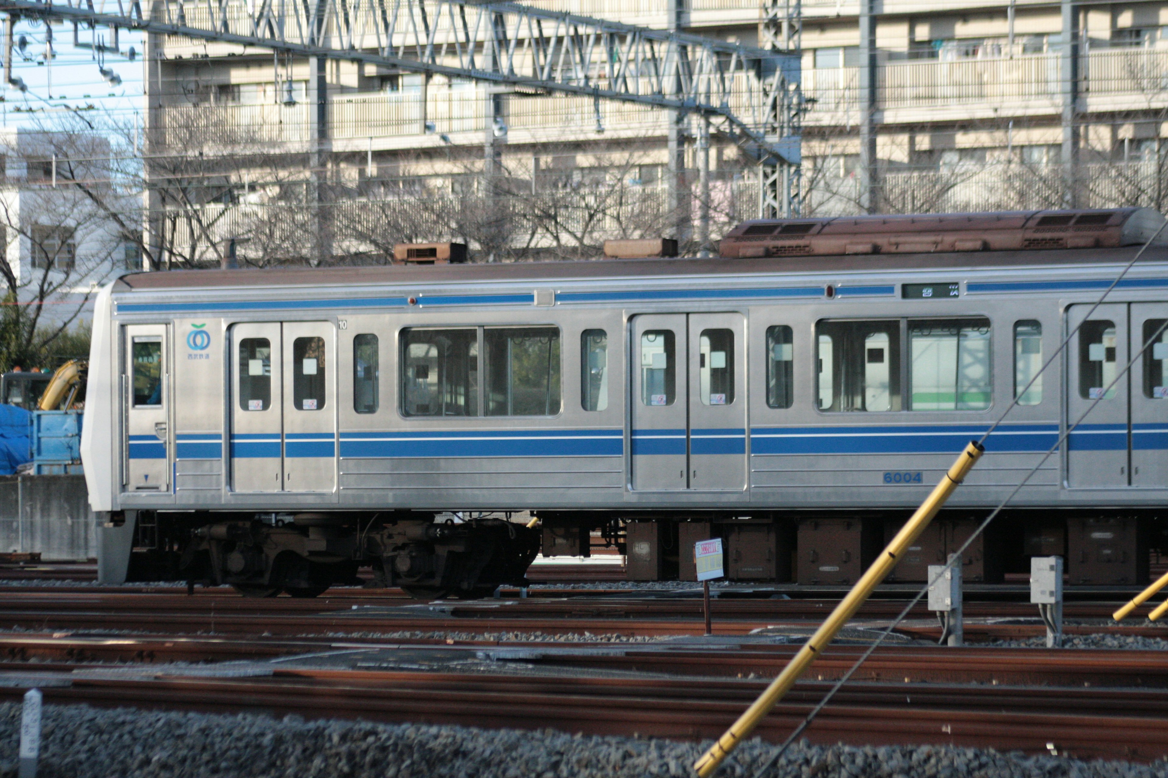 Train with blue stripes parked on the tracks