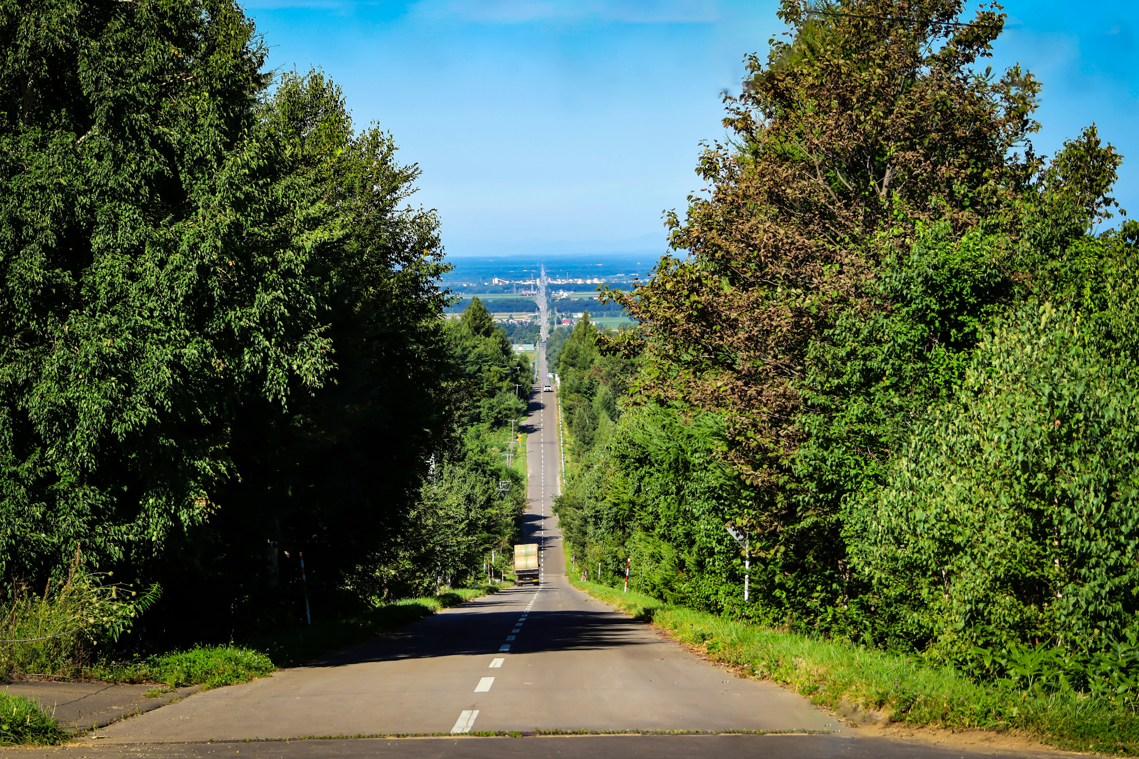 Larga carretera rodeada de árboles verdes bajo un cielo azul