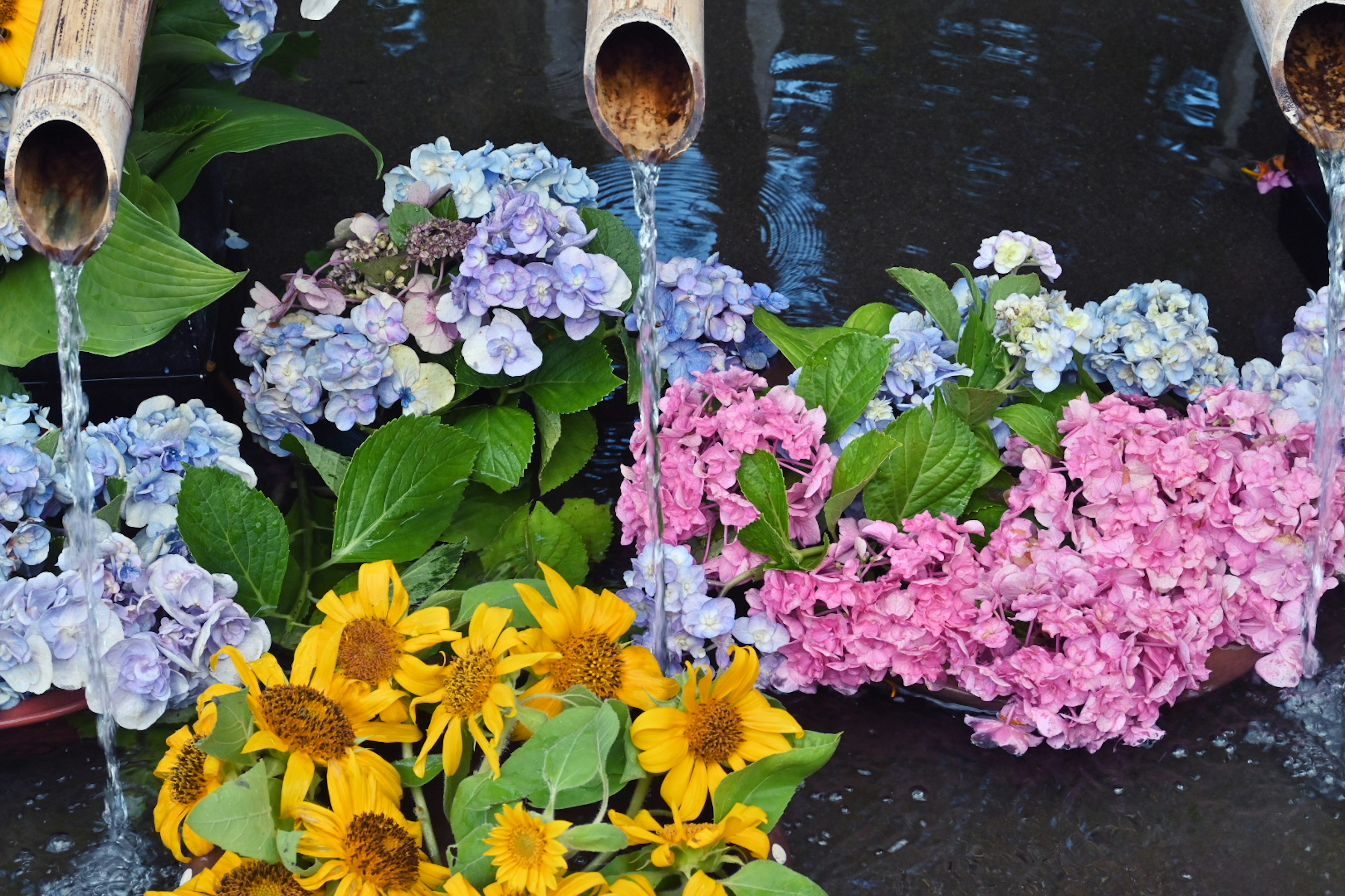 Flores coloridas desbordando de caños de bambú con agua fluyendo