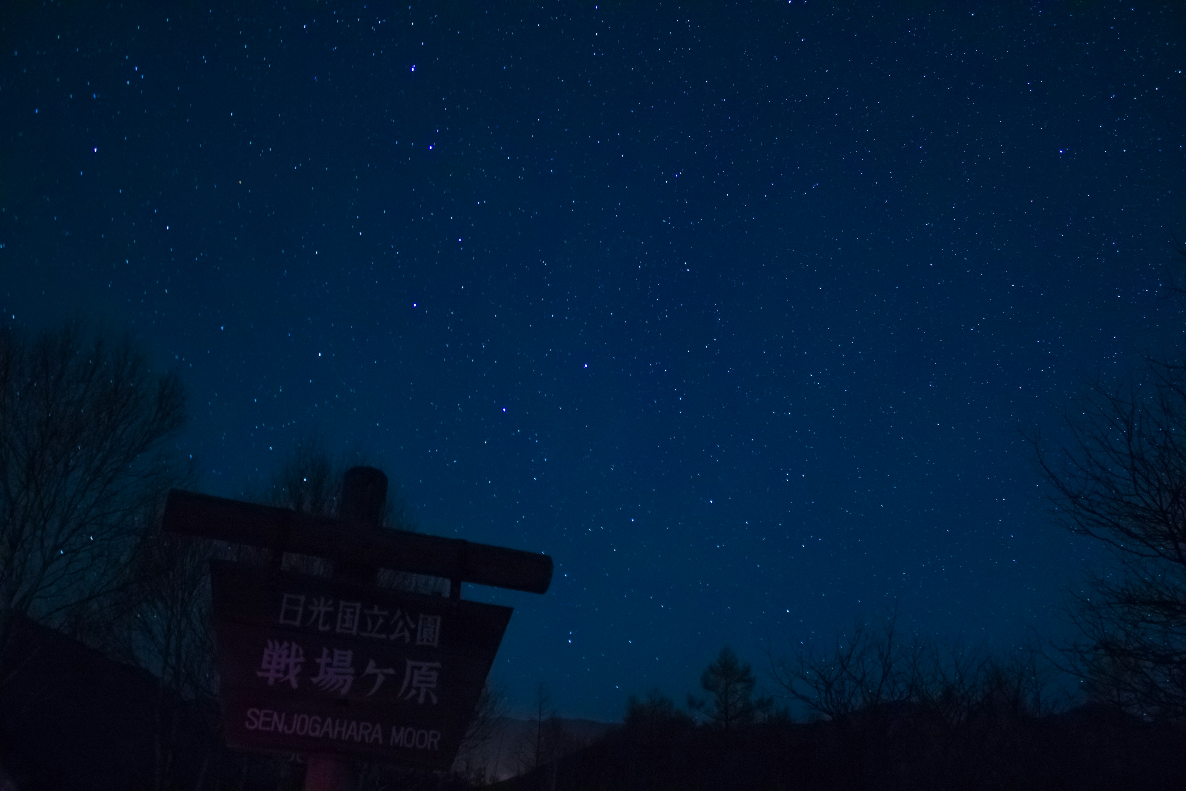 繁星點點的夜空與標誌的輪廓