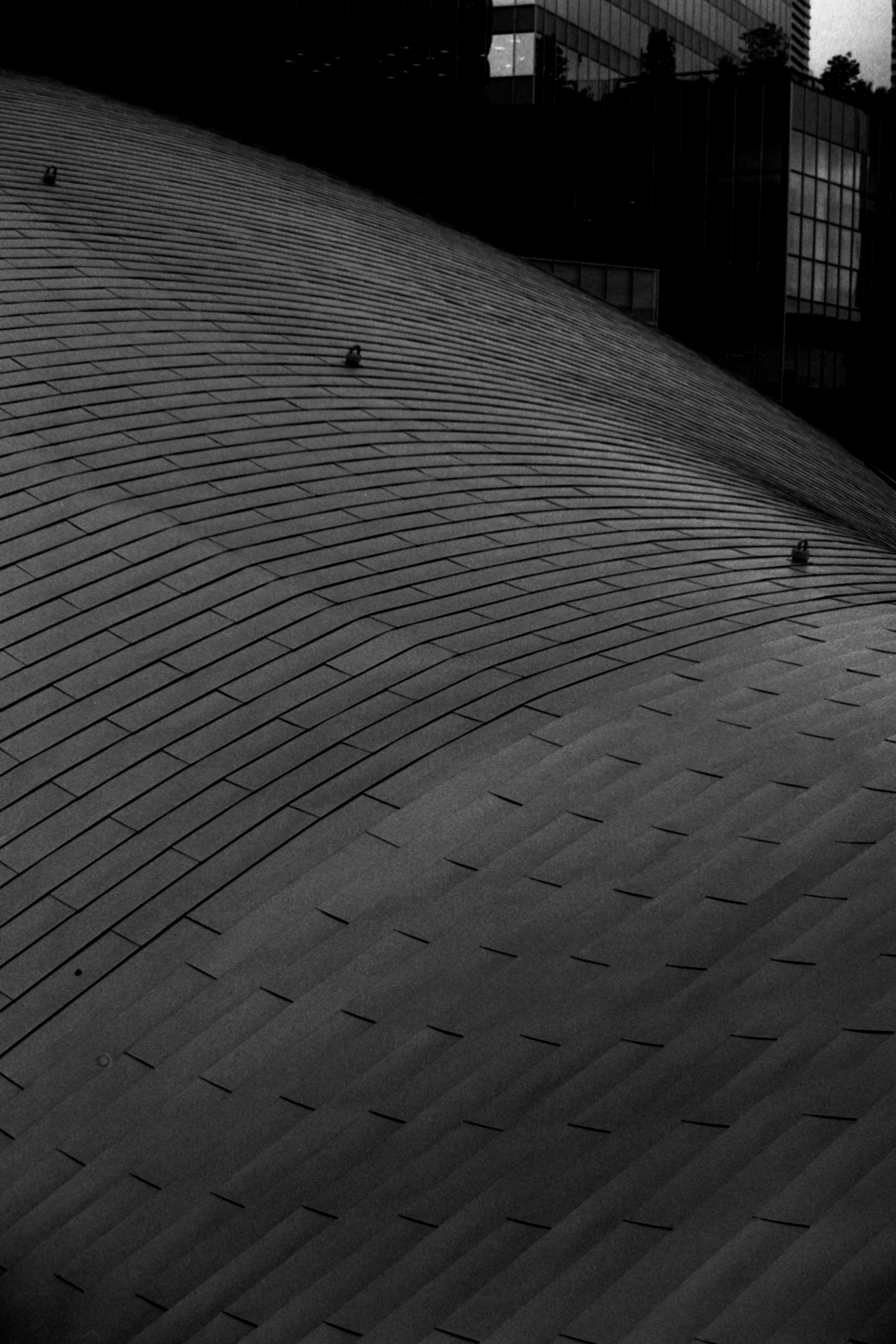 Curved architectural roof structure in black and white