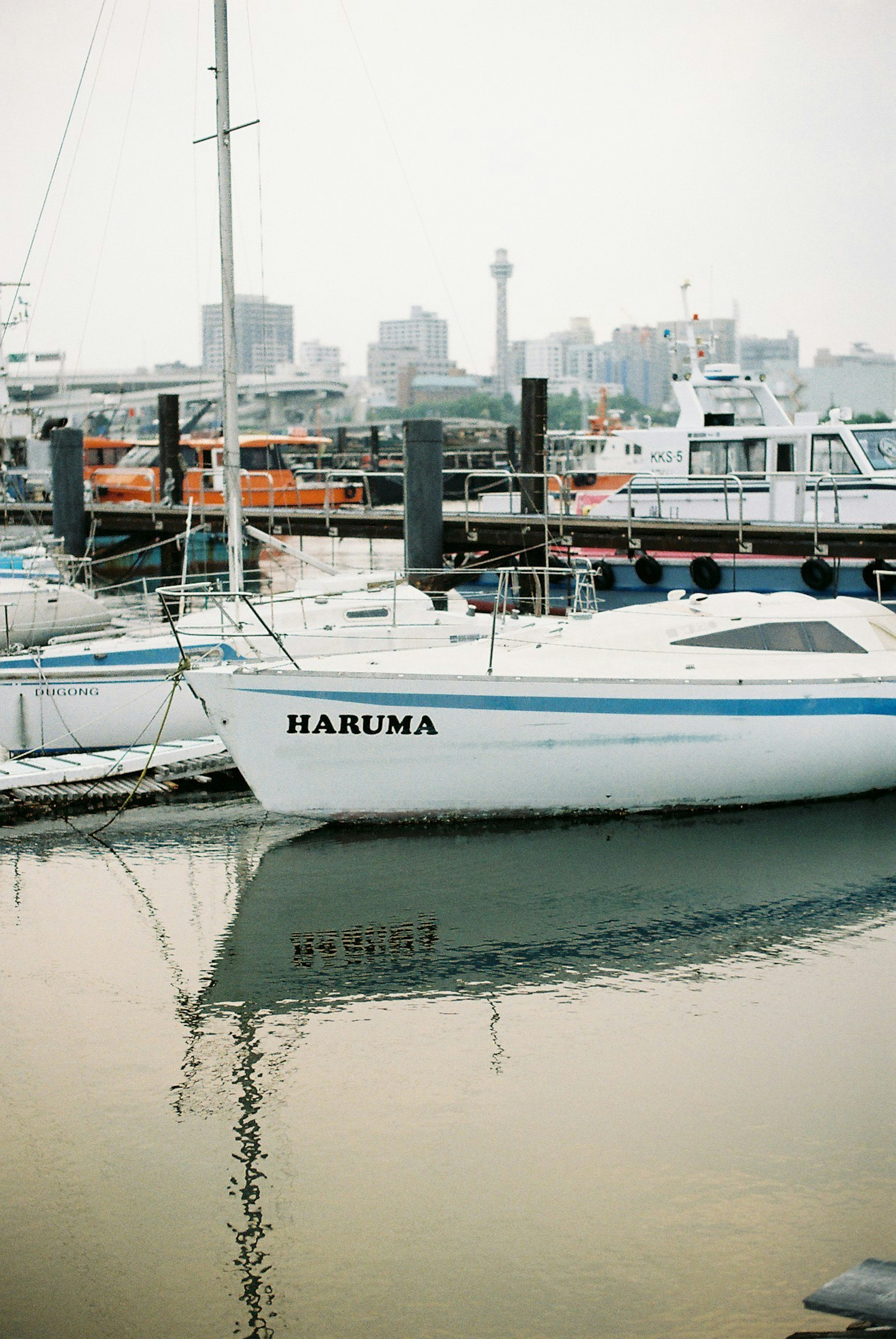 港に停泊している白いボートで、名前は「HARUMA」と書かれている