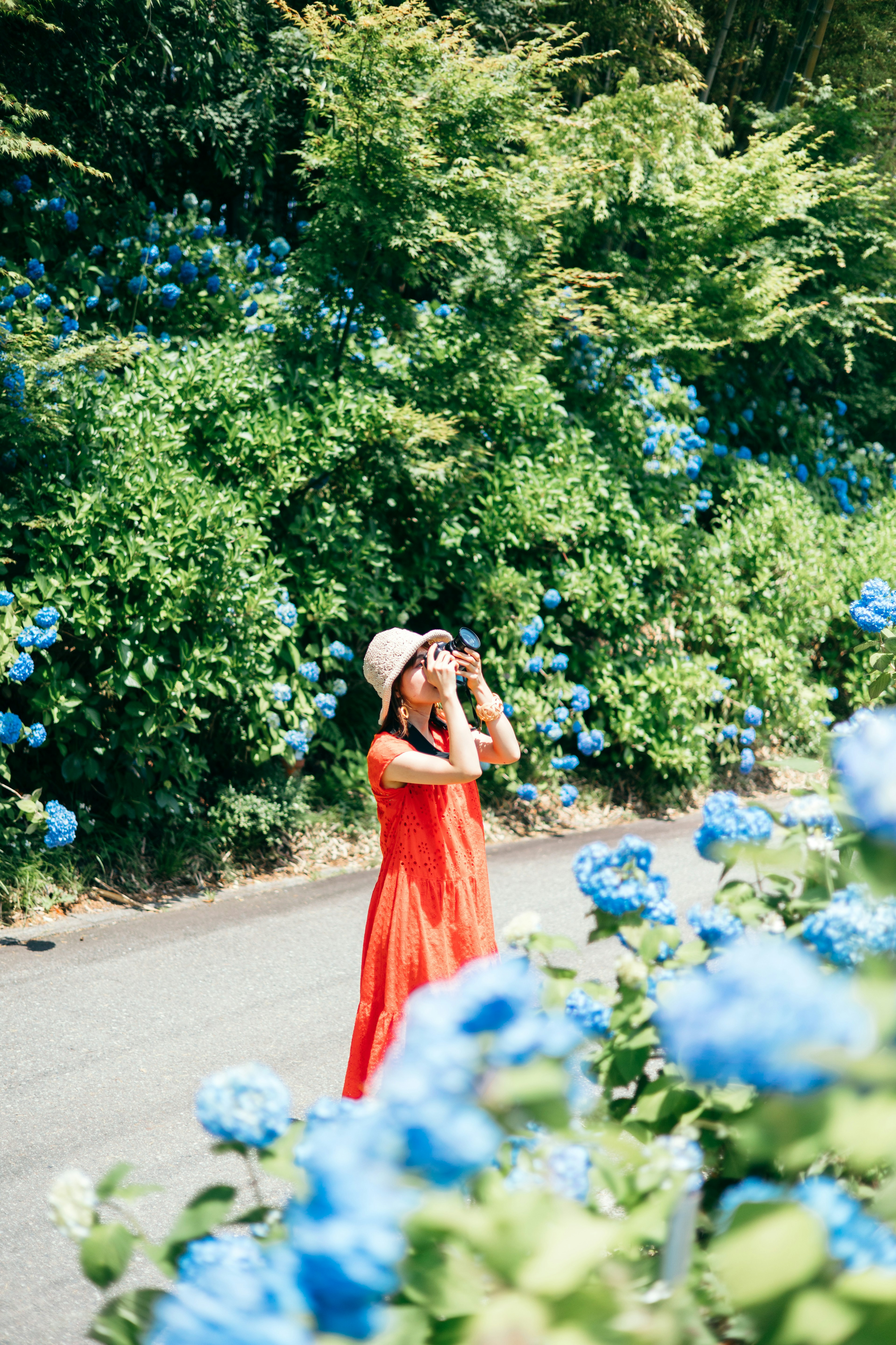 Donna in abito rosso con una macchina fotografica davanti a ortensie blu