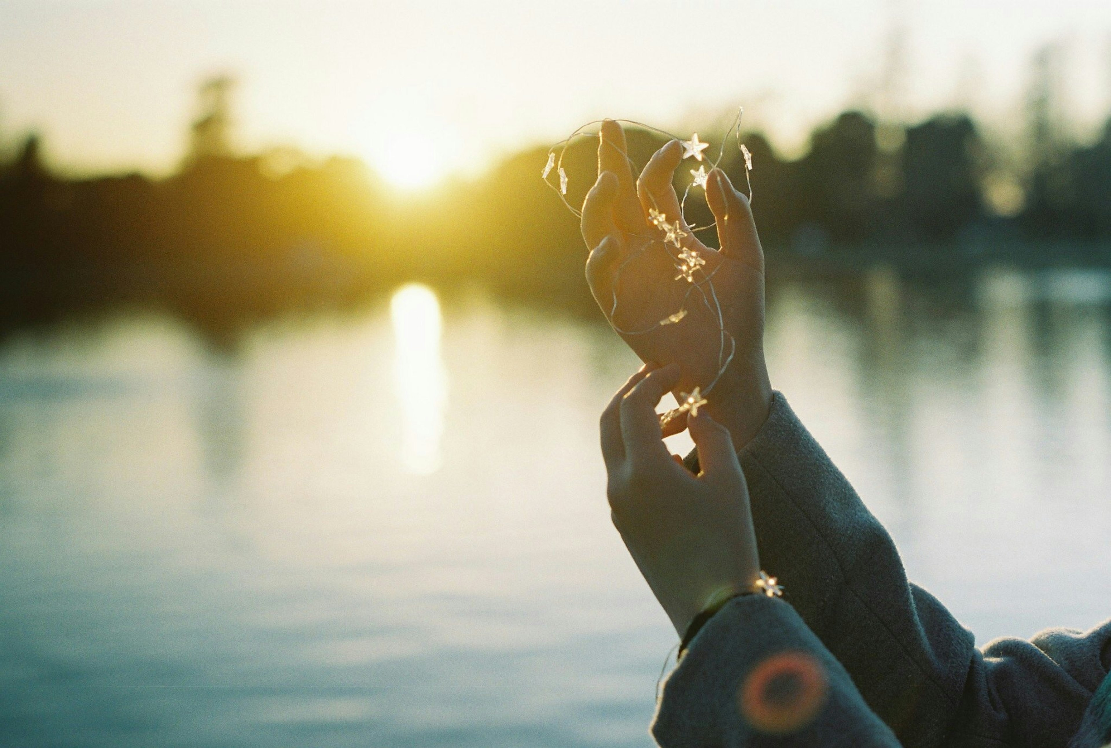 Hands holding flower petals against a sunset backdrop